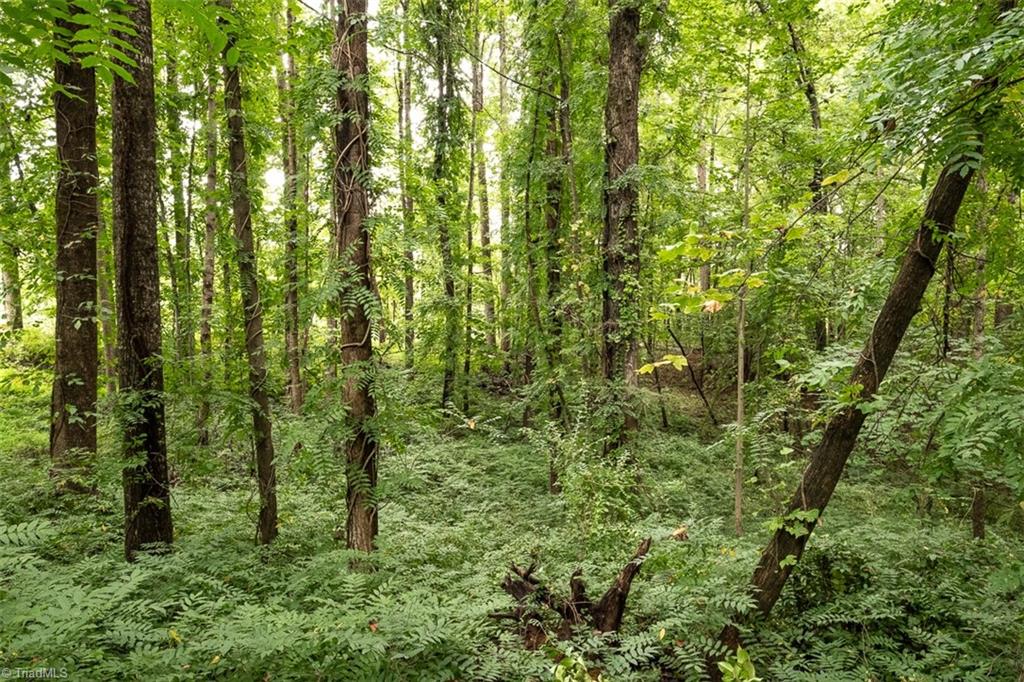 124 Hawthorne Road Elkin, NC 28621 - Photo 40 of 42 Home sits on approximately 2.5 acres.