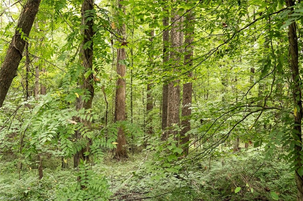 124 Hawthorne Road Elkin, NC 28621 - Photo 41 of 42 Home sits on approximately 2.5 acres.