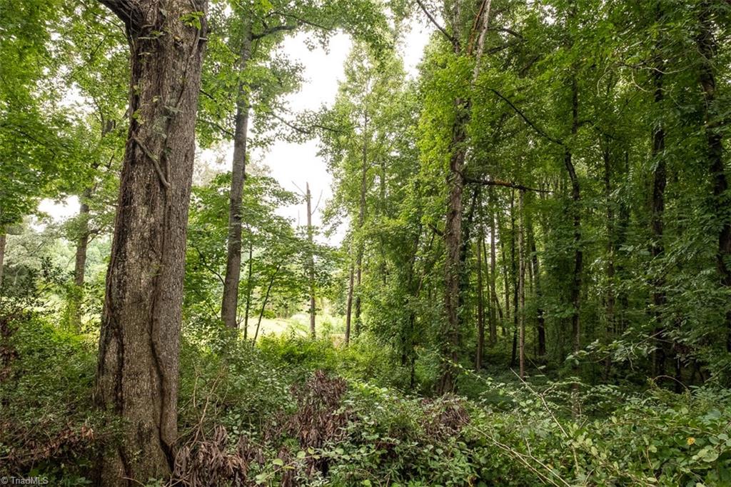 124 Hawthorne Road Elkin, NC 28621 - Photo 42 of 42 Tax map for property.