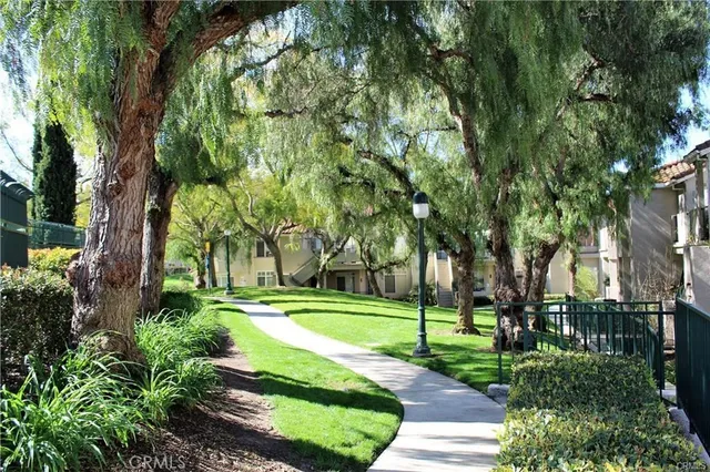 a view of a park with large trees