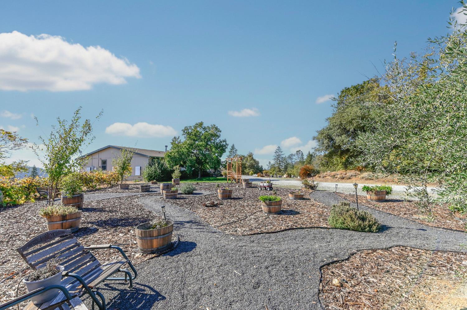 3770 Sheep Ranch Road Murphys, CA 95247 - Photo 62 of 92
