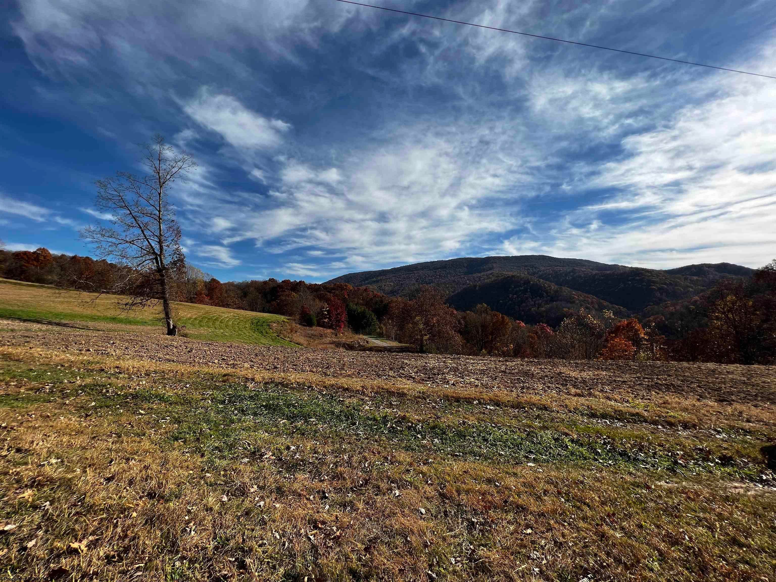 2878 Mackeyville Road Hambleton, WV 26269 - Photo 14 of 14 Gallery Image 14