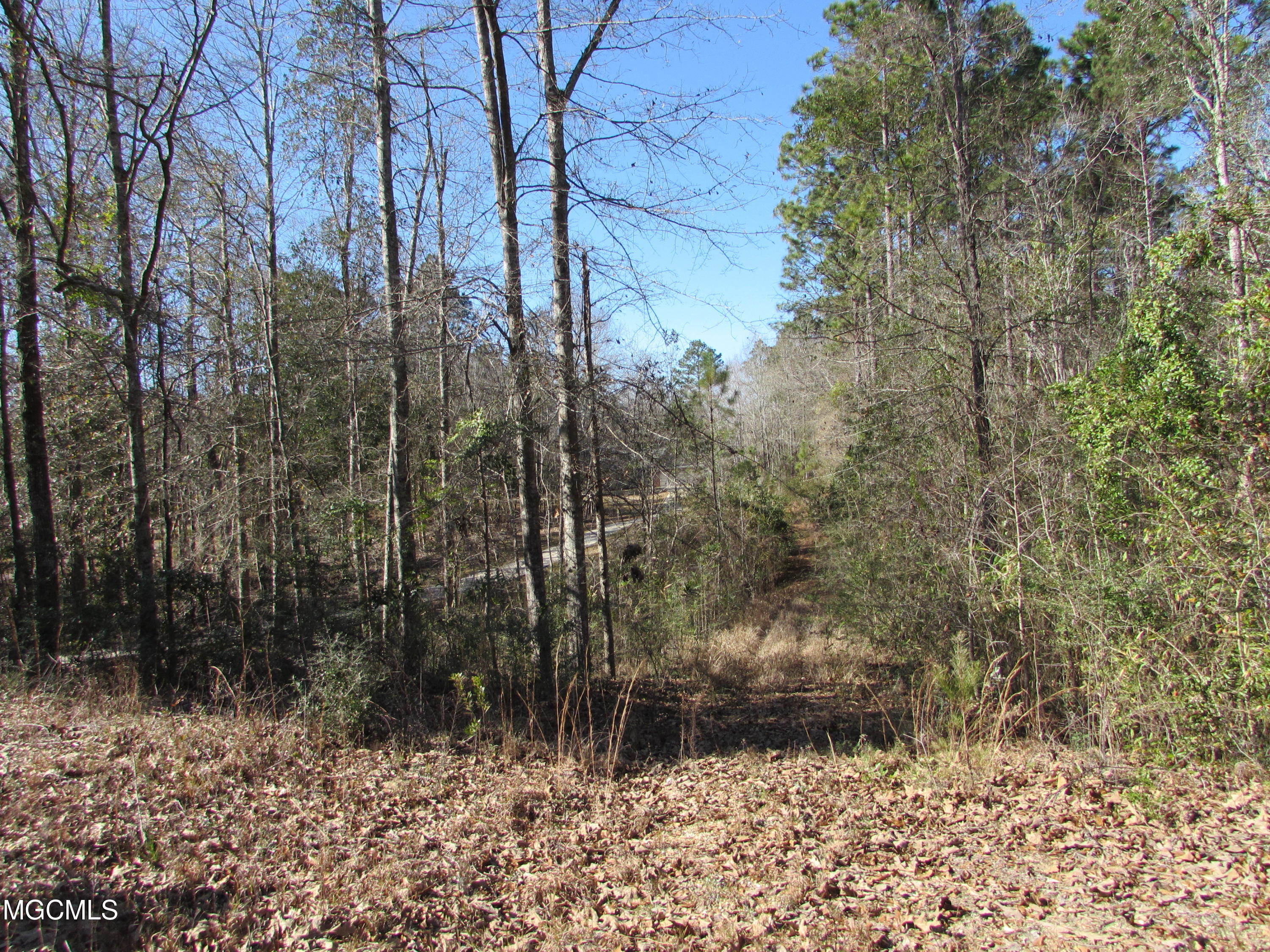 57 James Switzer Road Purvis, MS 39475 - Photo 1 of 11 IMG_0920