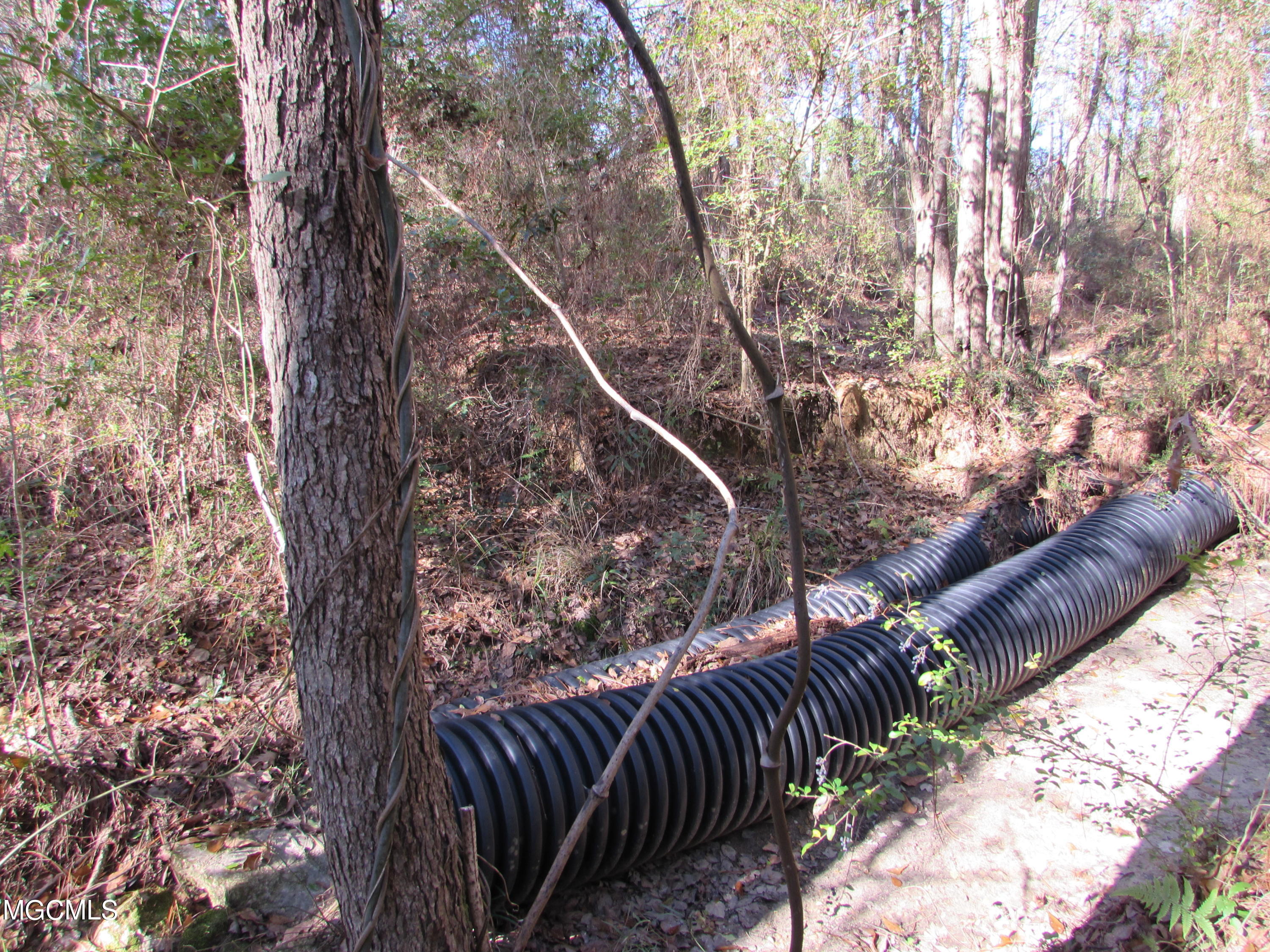57 James Switzer Road Purvis, MS 39475 - Photo 5 of 11 IMG_0924