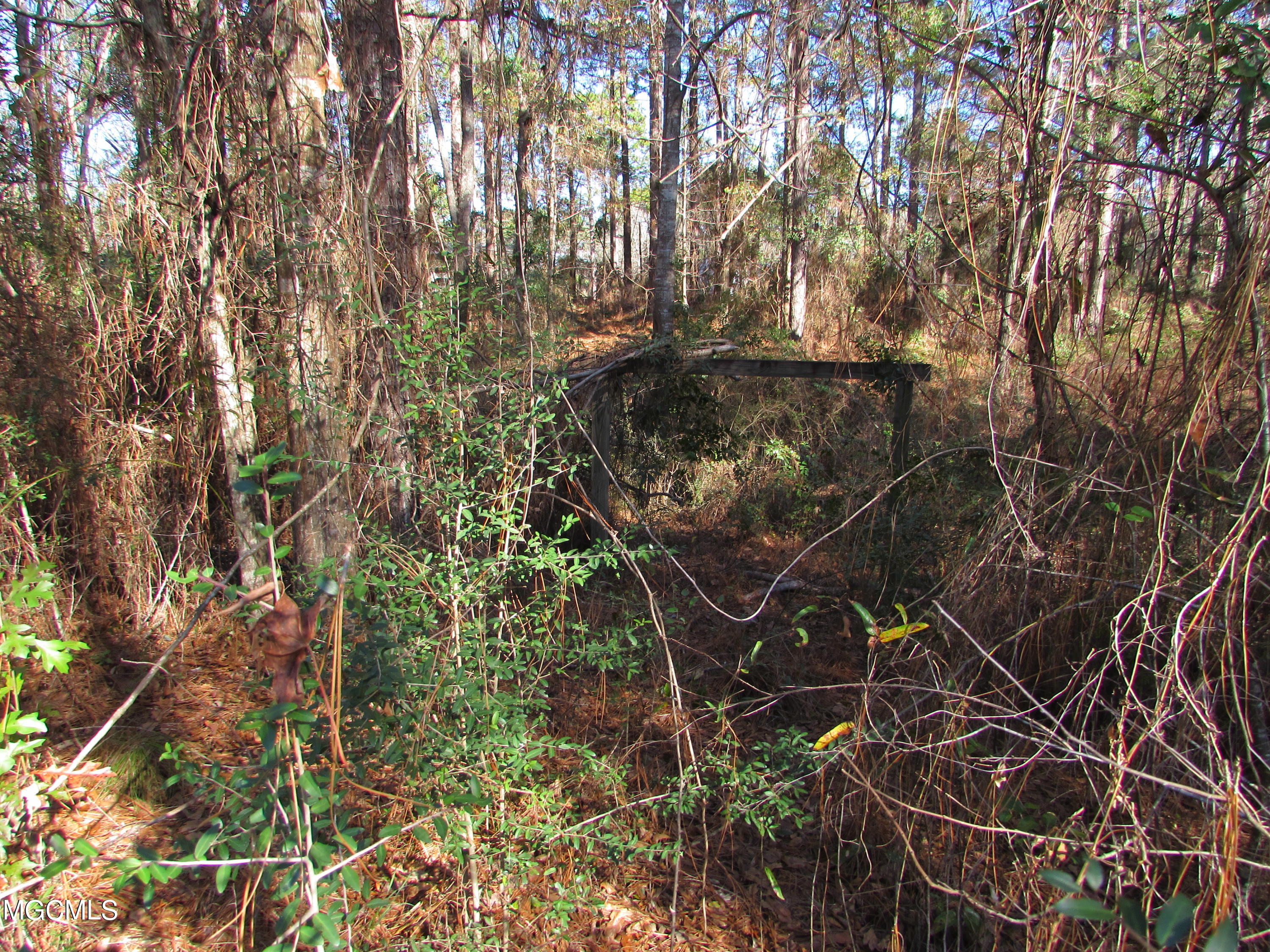 57 James Switzer Road Purvis, MS 39475 - Photo 6 of 11 IMG_0925
