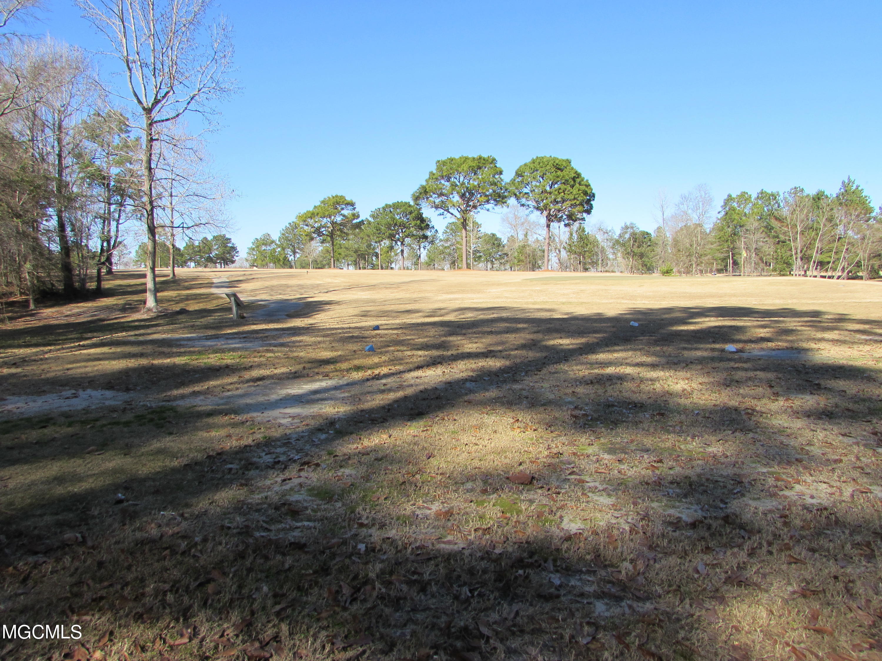 57 James Switzer Road Purvis, MS 39475 - Photo 7 of 11 IMG_0926