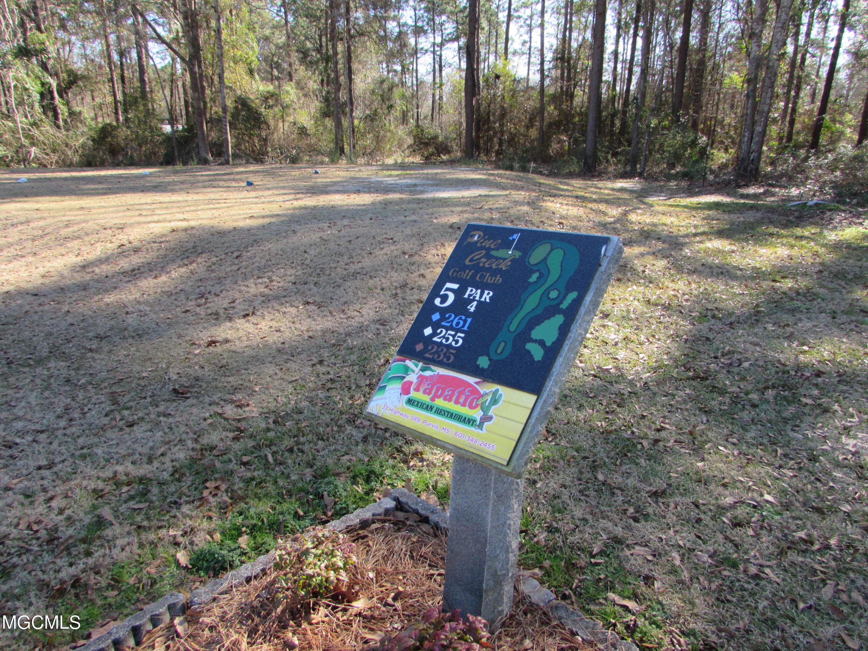 57 James Switzer Road Purvis, MS 39475 - Photo 8 of 11 IMG_0927