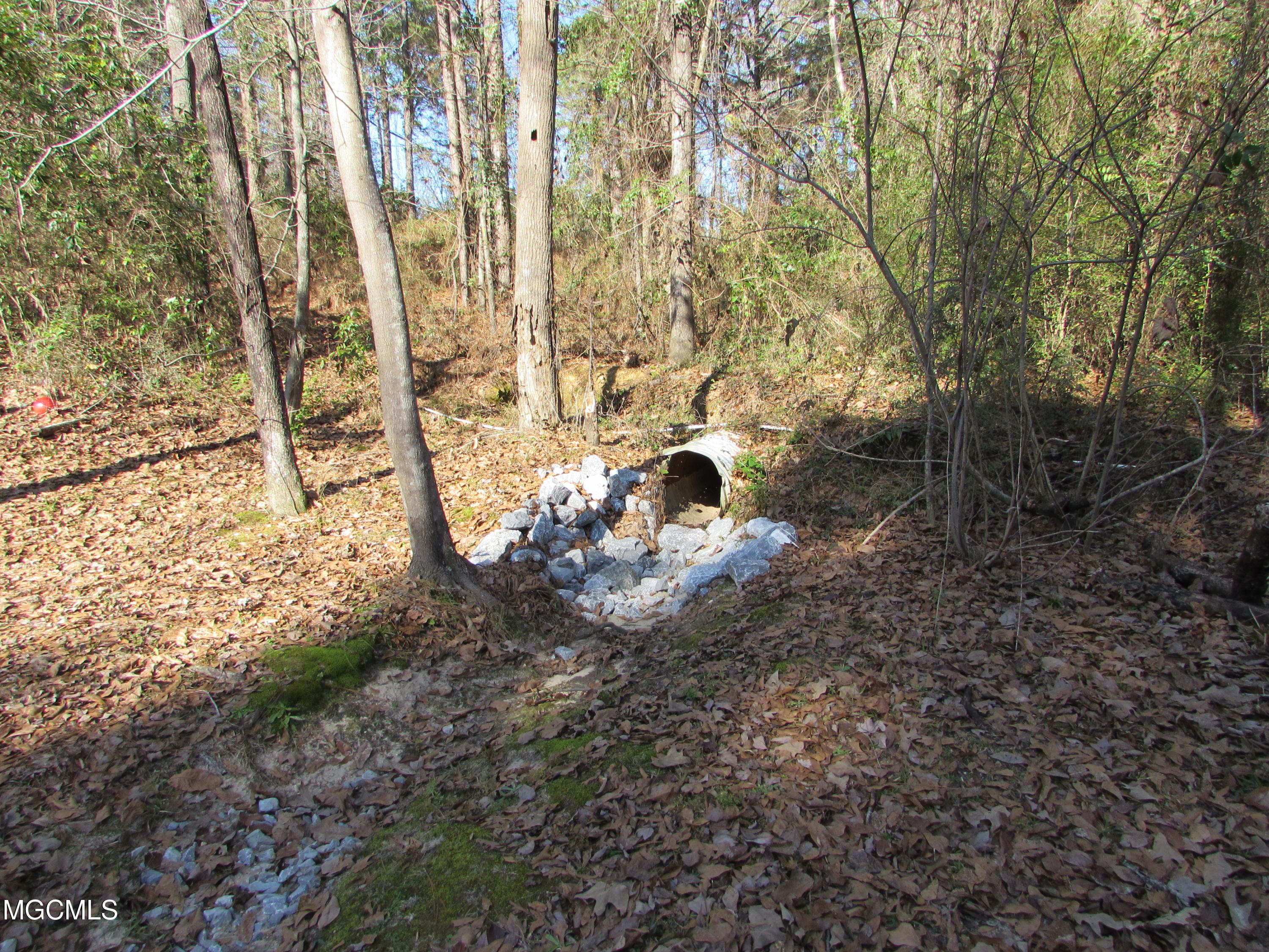 57 James Switzer Road Purvis, MS 39475 - Photo 9 of 11 IMG_0928