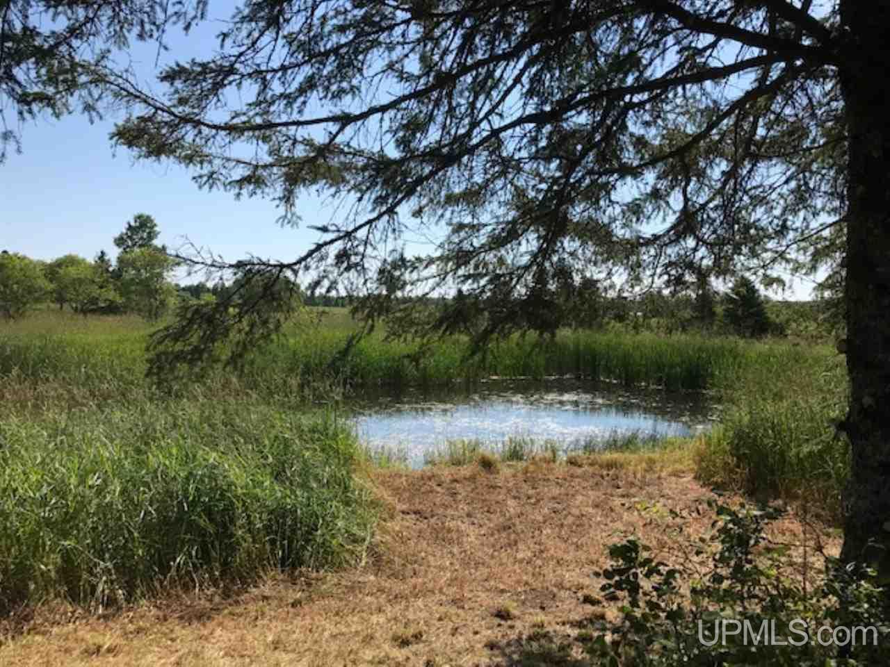 33157 Michaelson Road Pelkie, MI 49958 - Photo 25 of 37 Gallery Image 25