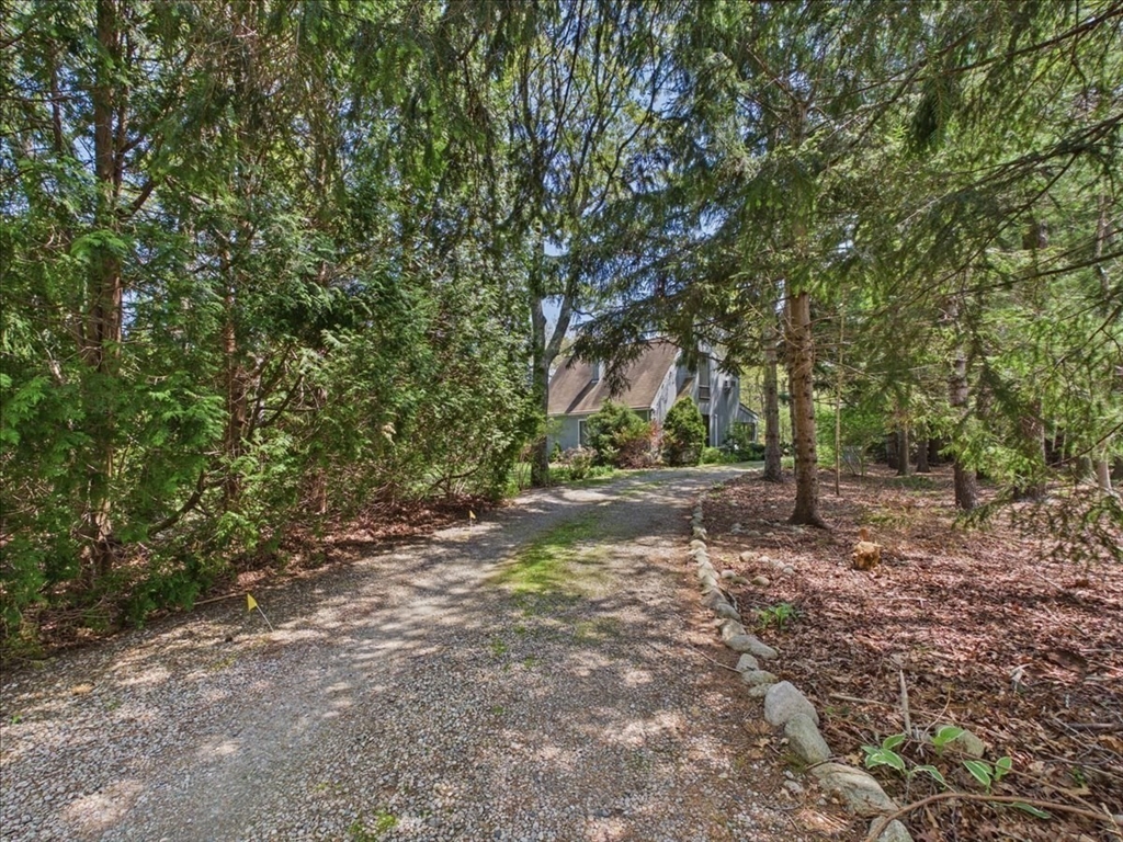 621 Locustfield Road Falmouth, MA 02536 - Photo 4 of 41