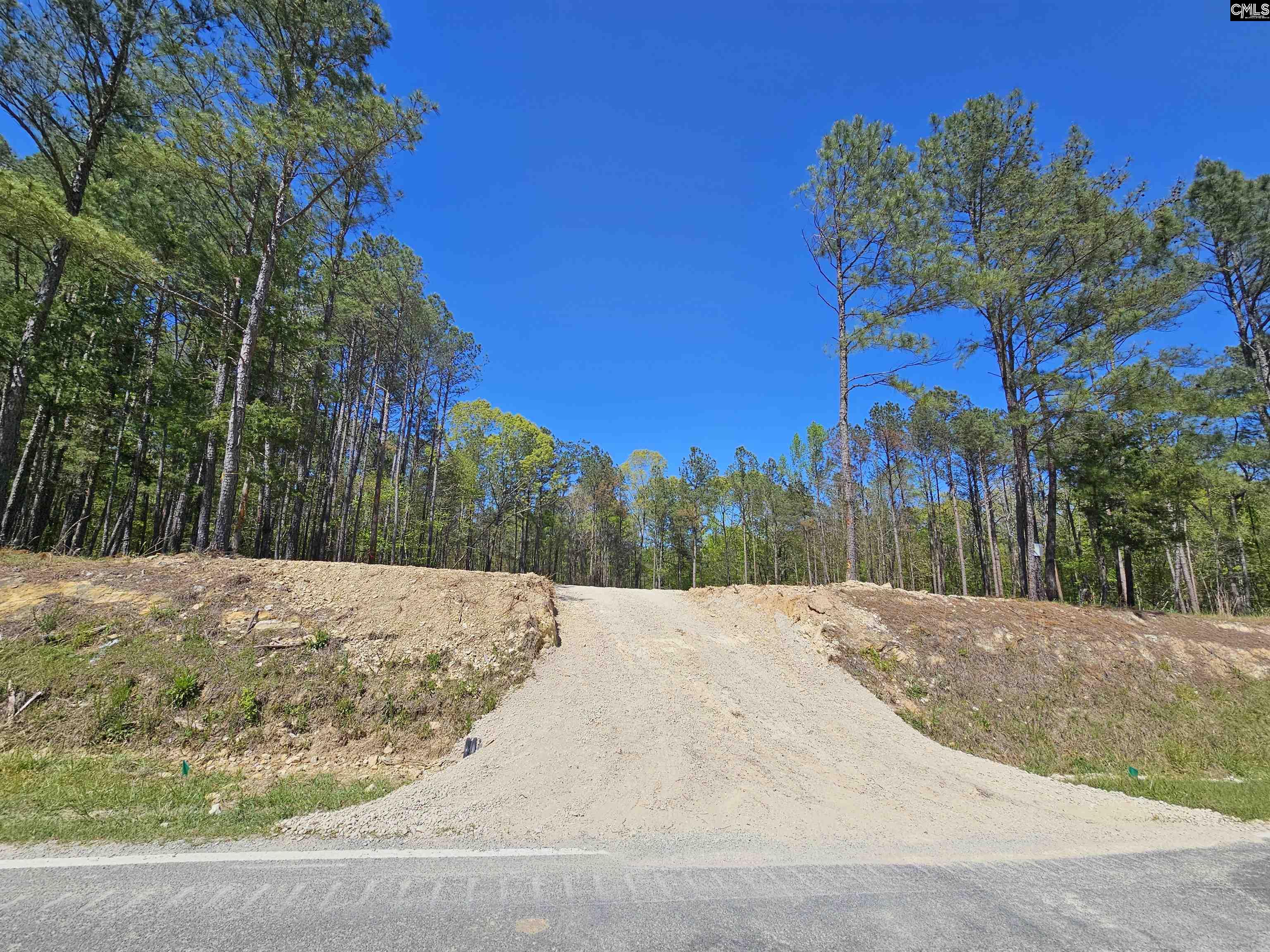 Lot 230 Granny Hill Road Prosperity, SC 29127 - Photo 6 of 42