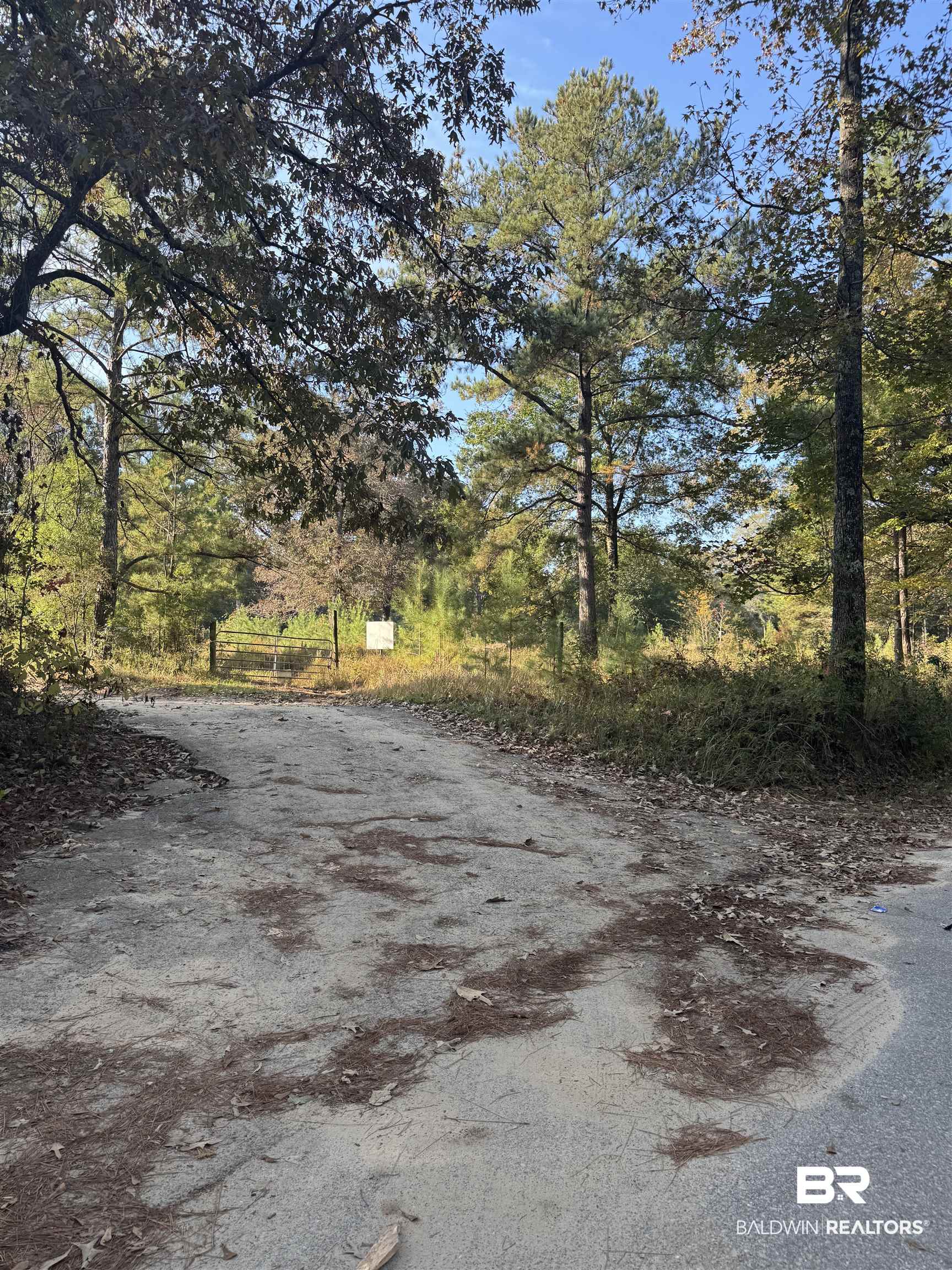 16600 Stacey Road Bay Minette, AL 36507 - Photo 4 of 5