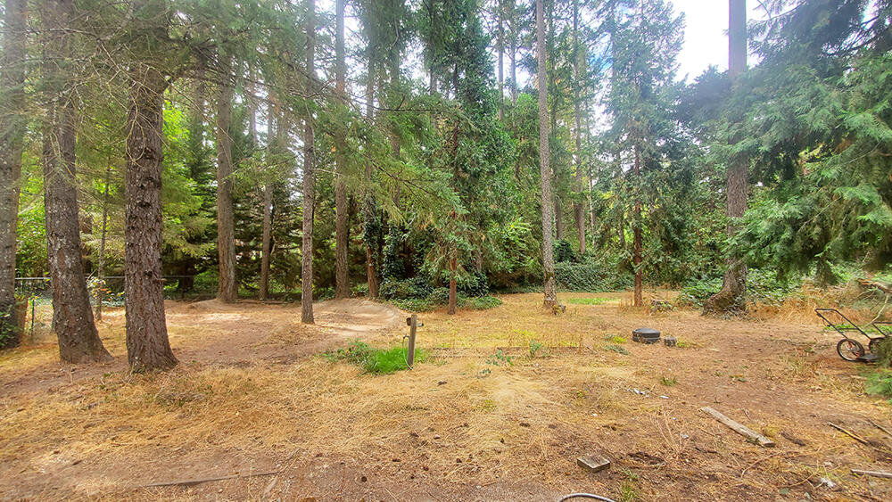 3801-3831 Almar Road Grants Pass, OR 97527 - Photo 4 of 38 3801 Almar 4 yard