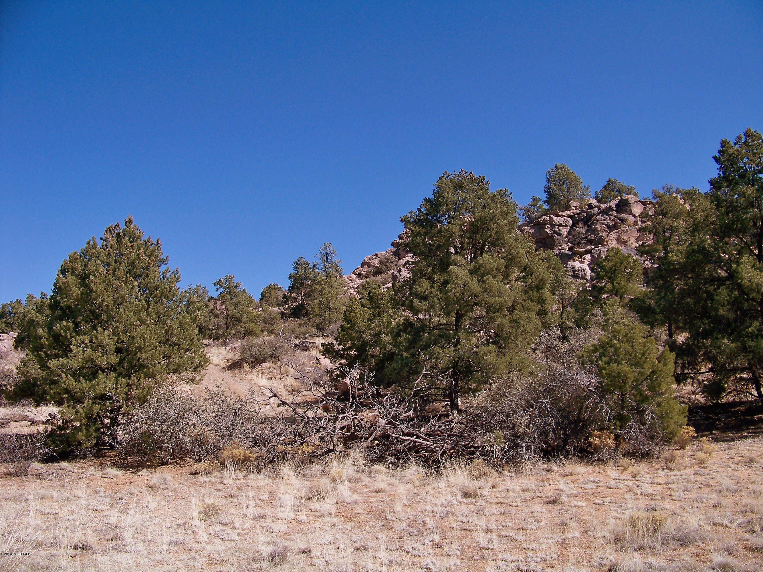 16401 Petroglyph Road Prescott, AZ 86305 - Photo 10 of 12 a view of a field