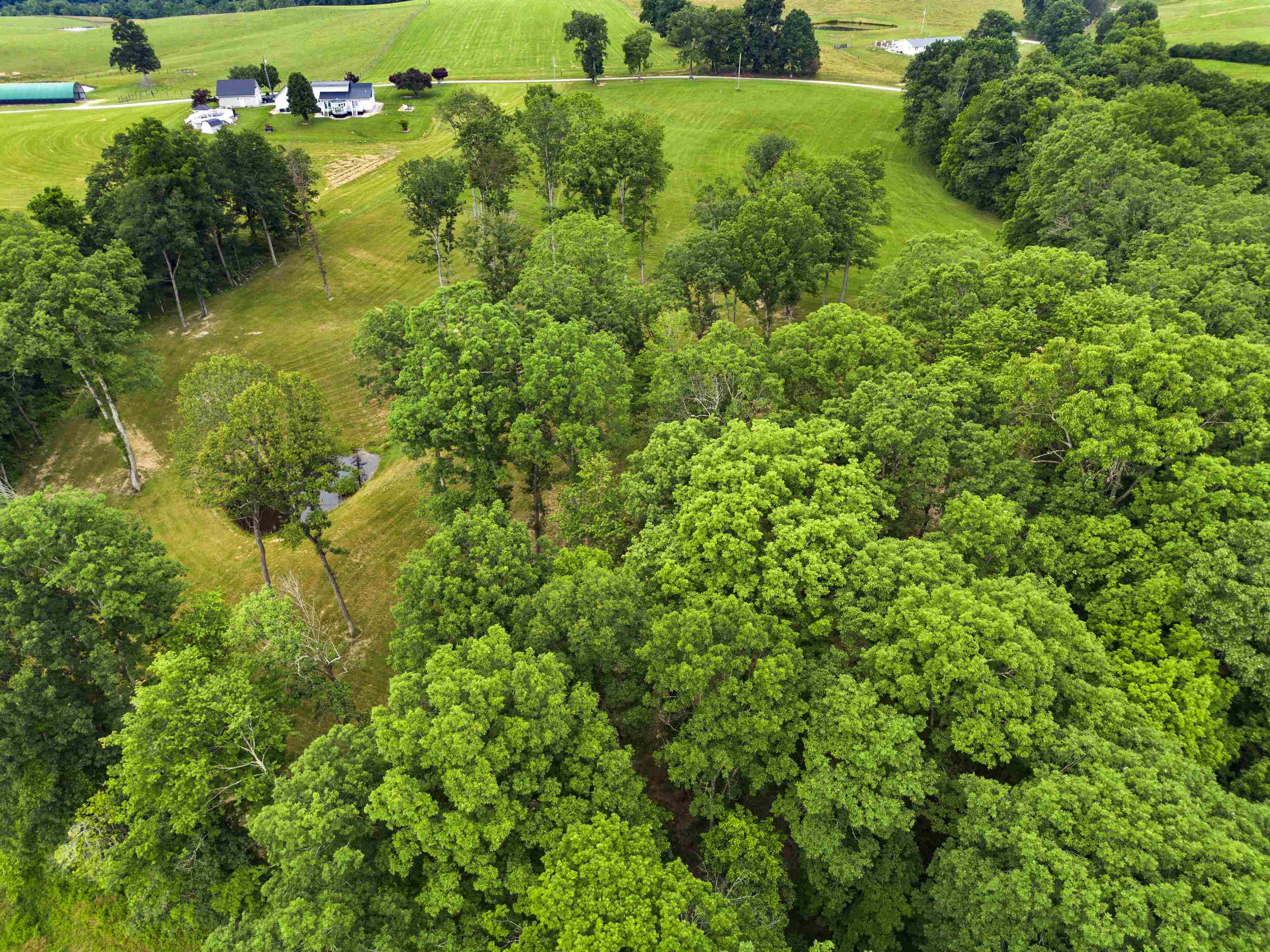0 Salem Road Grayson, KY 41143 - Photo 9 of 25
