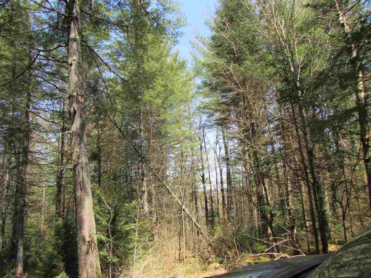 Cabot Road Cabot, VT 05647 - Photo 8 of 11