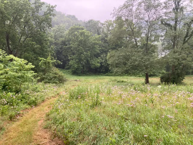 $995,000 | 36415 Homer Valley Lane, Winona, MN 55987