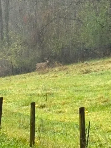 $995,000 | 36415 Homer Valley Lane, Winona, MN 55987