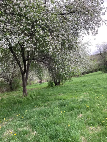 $995,000 | 36415 Homer Valley Lane, Winona, MN 55987