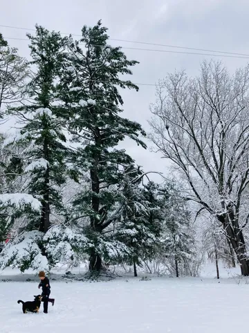 $995,000 | 36415 Homer Valley Lane, Winona, MN 55987