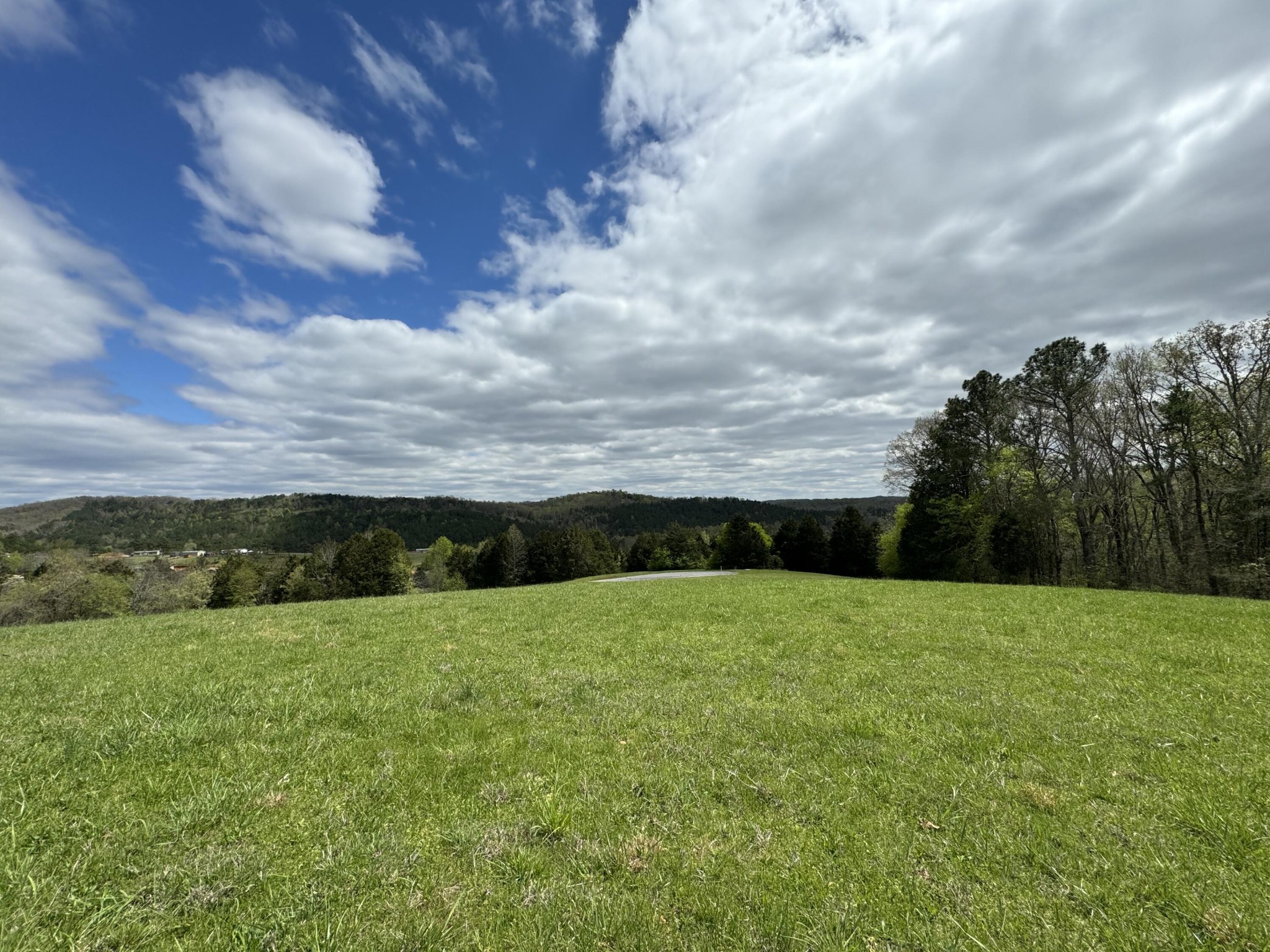 45 The Gates Drive Decatur, TN 37322 - Photo 2 of 11 a view of an outdoor space and a yard