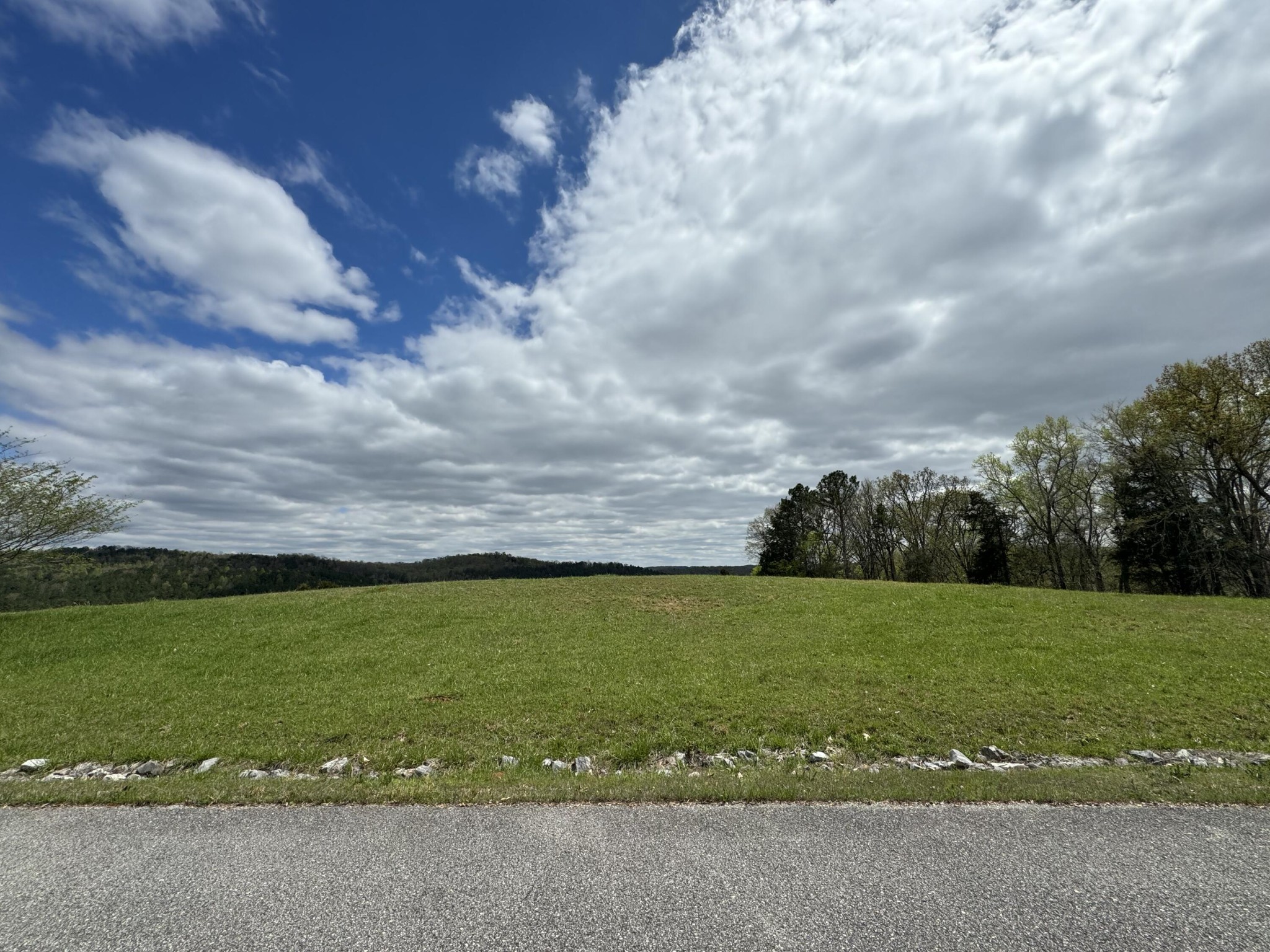 45 The Gates Drive Decatur, TN 37322 - Photo 4 of 11 a view of a field with an ocean