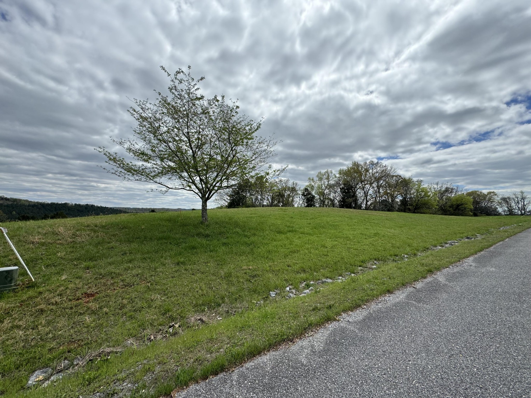 45 The Gates Drive Decatur, TN 37322 - Photo 5 of 11 a view of yard with grass & street