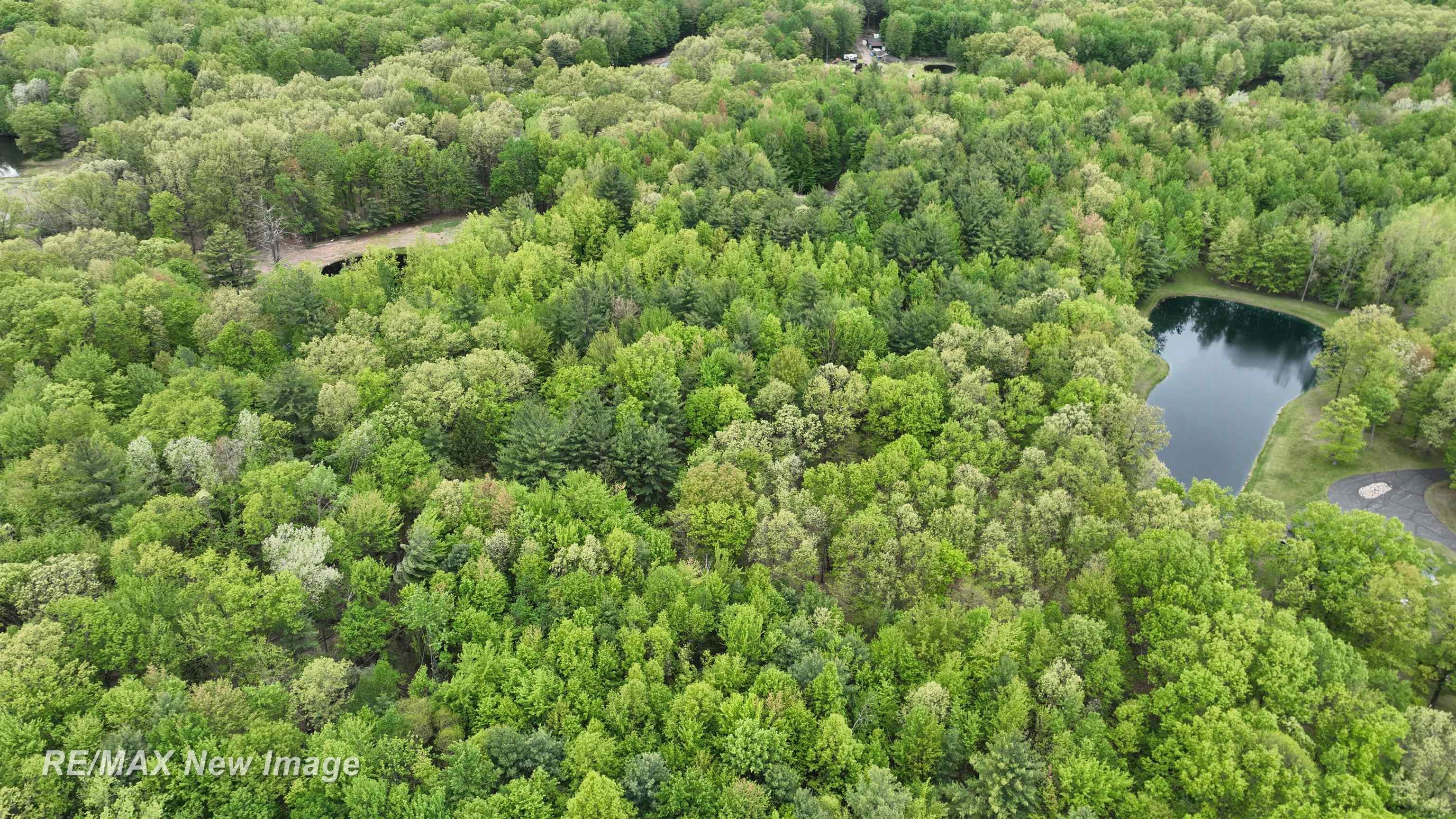 12000 West Townline Road St. Charles, MI 48655 - Photo 7 of 10