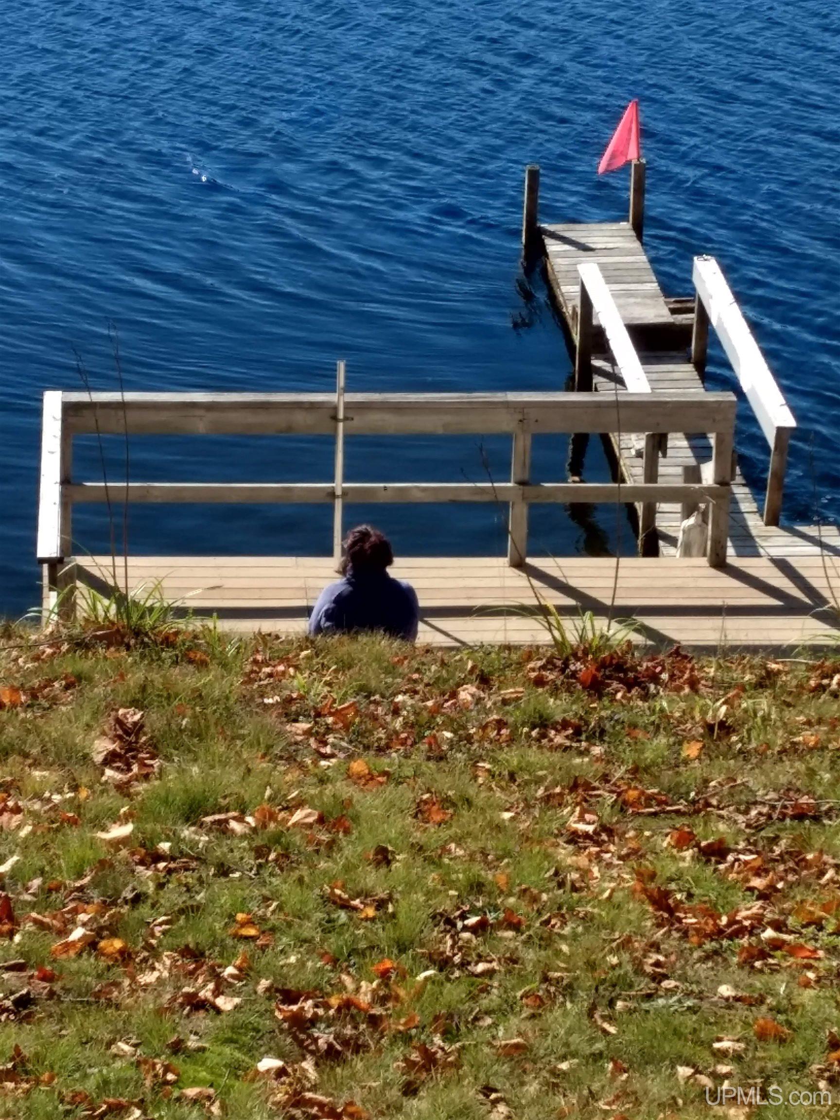 32399 West Piatt Lake Road Eckerman, MI 49728 - Photo 5 of 49