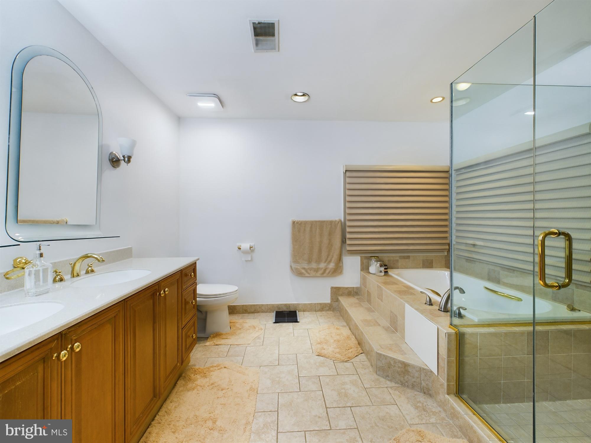 2906 Cedar Lane Vienna, VA 22180 - Photo 15 of 18 a bathroom with a sink a toilet and mirror