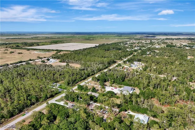 an aerial view of residential houses with outdoor space and trees