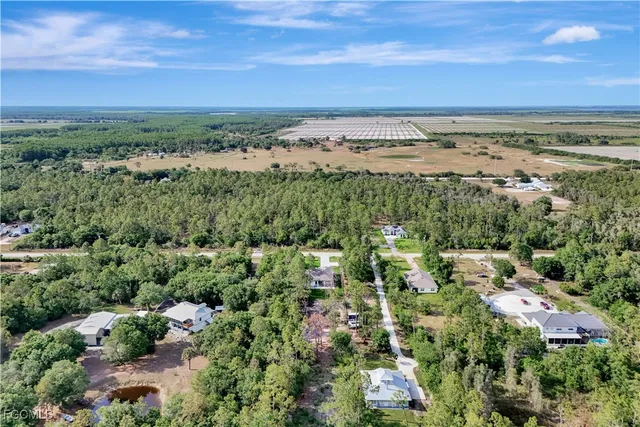 a view of a park with large trees