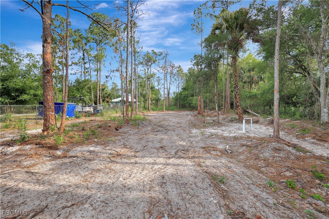 3366 72nd Avenue Northeast Naples, FL 34120 - Photo 46 of 49 a view of a park with large trees