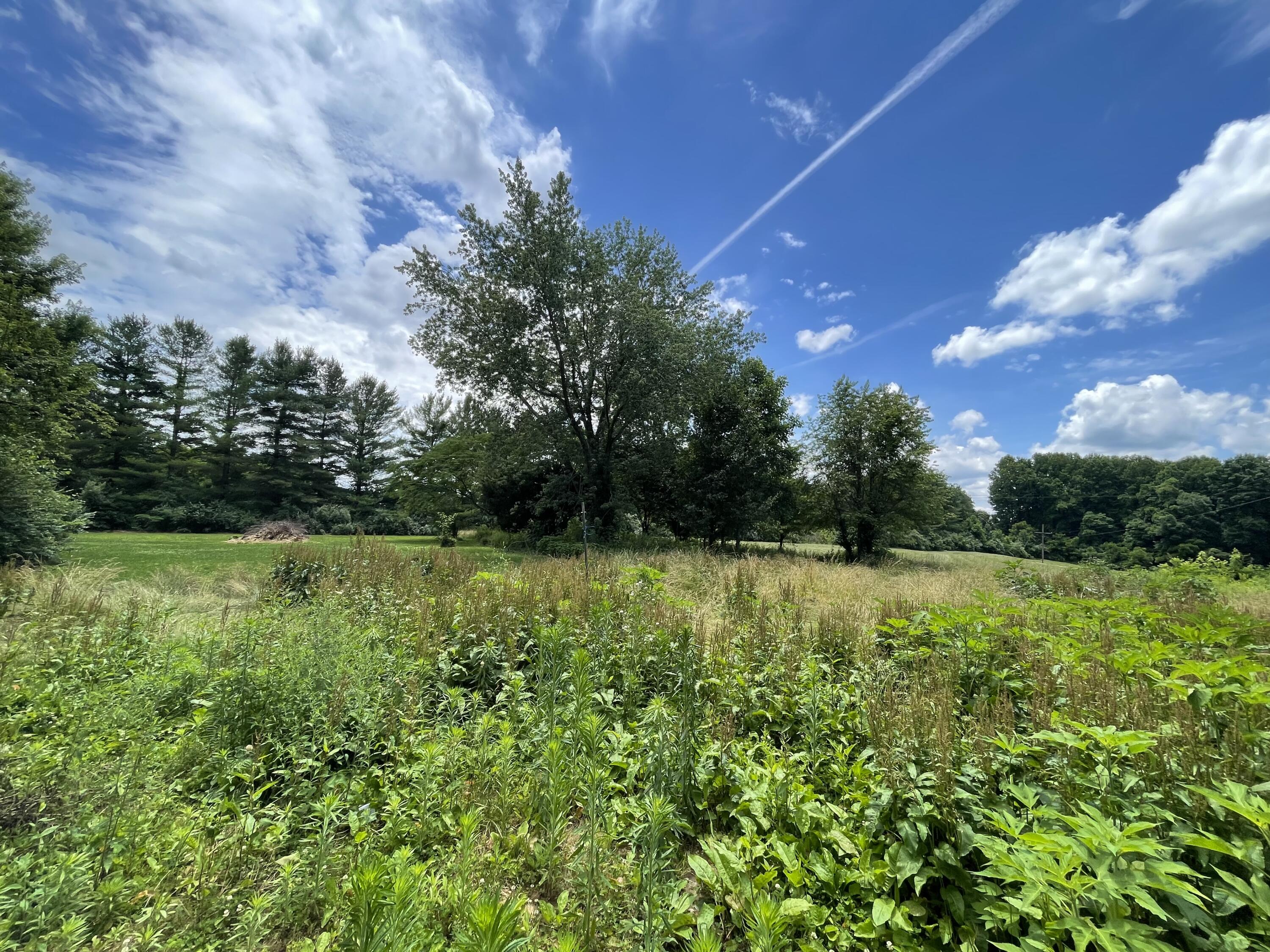 467-463 East Racetrack Road Somerset, KY 42503 - Photo 20 of 21 E3CB6648-3DCF-4043-9139-5356CACA518C