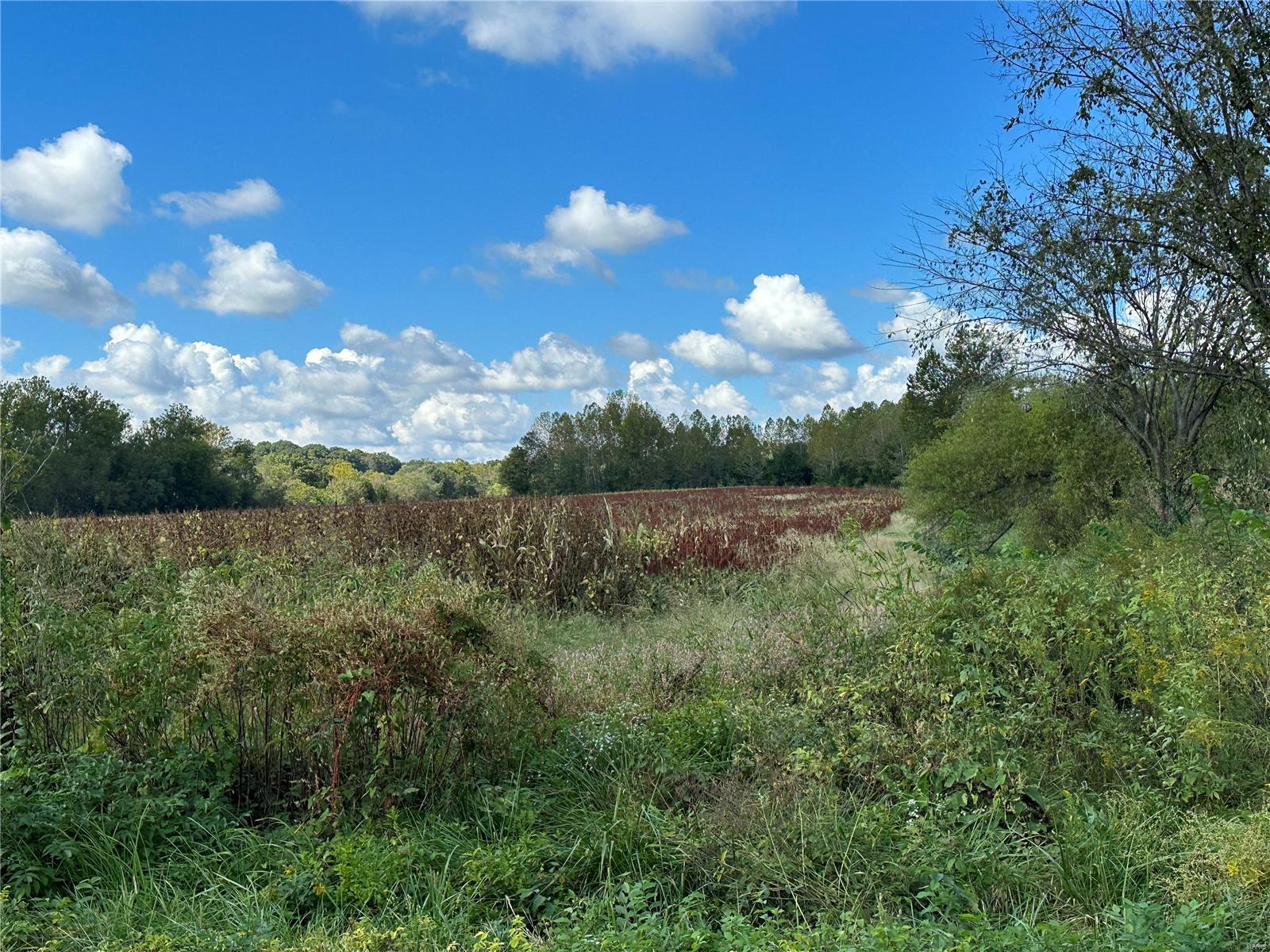 0 Bend School Road Union, MO 63084 - Photo 15 of 27