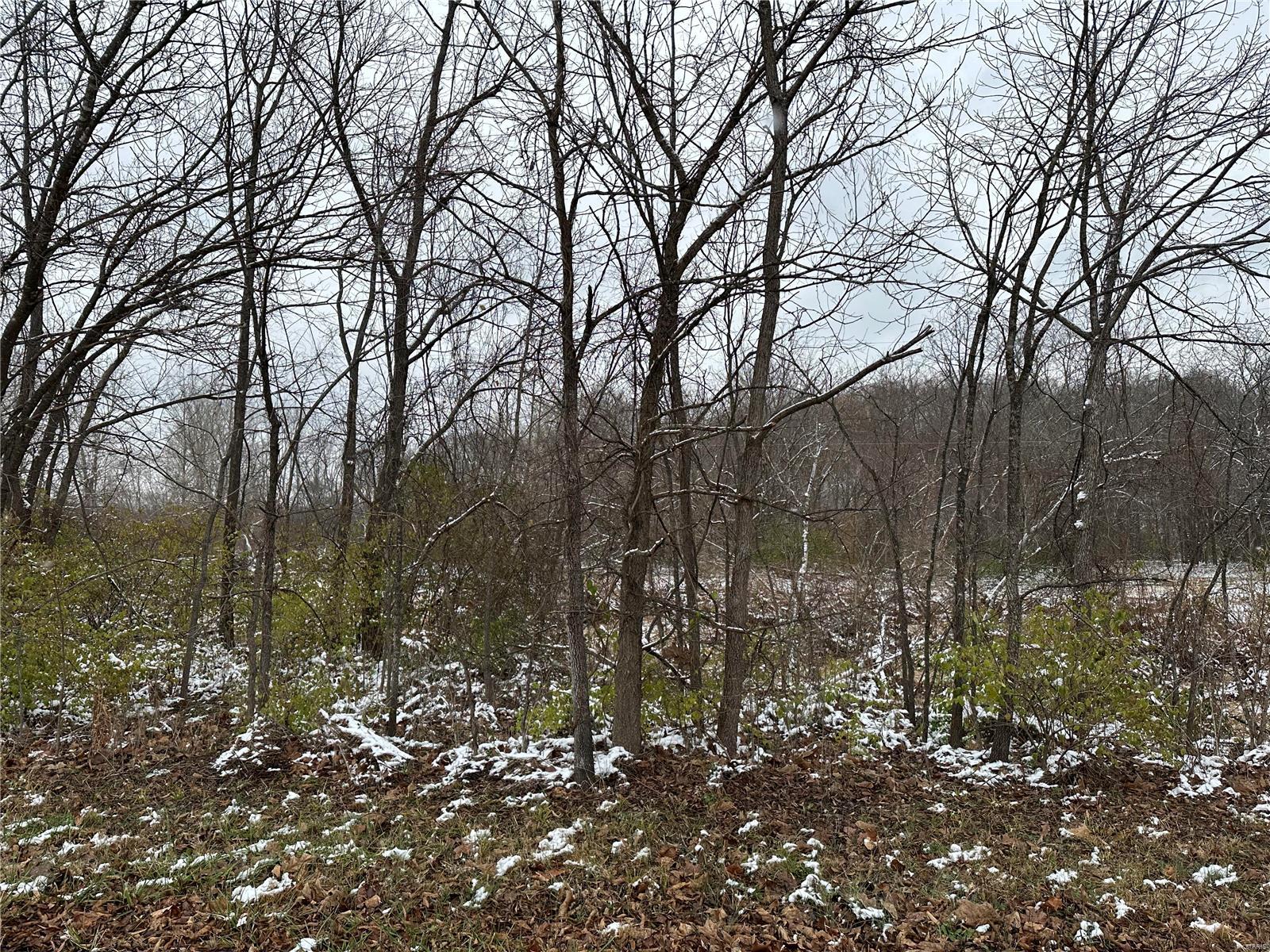 0 Bend School Road Union, MO 63084 - Photo 27 of 27