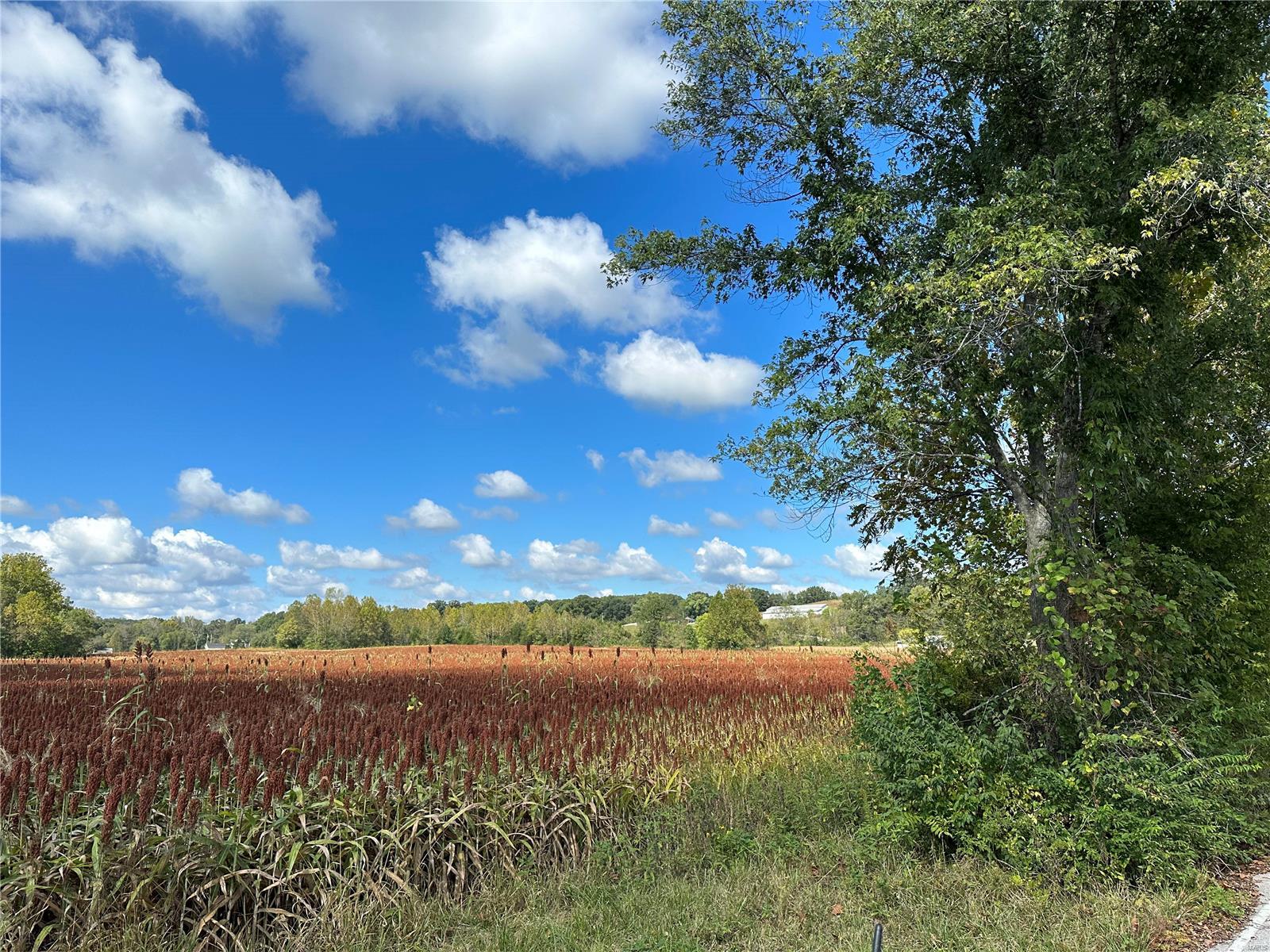 0 Bend School Road Union, MO 63084 - Photo 3 of 27