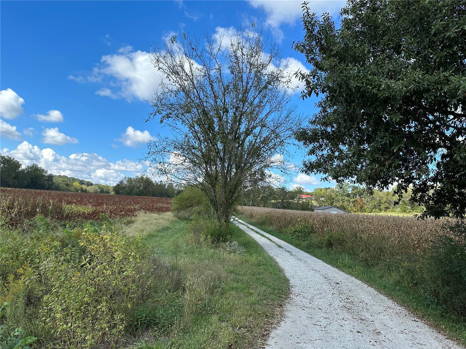 0 Bend School Road Union, MO 63084 - Photo 6 of 27