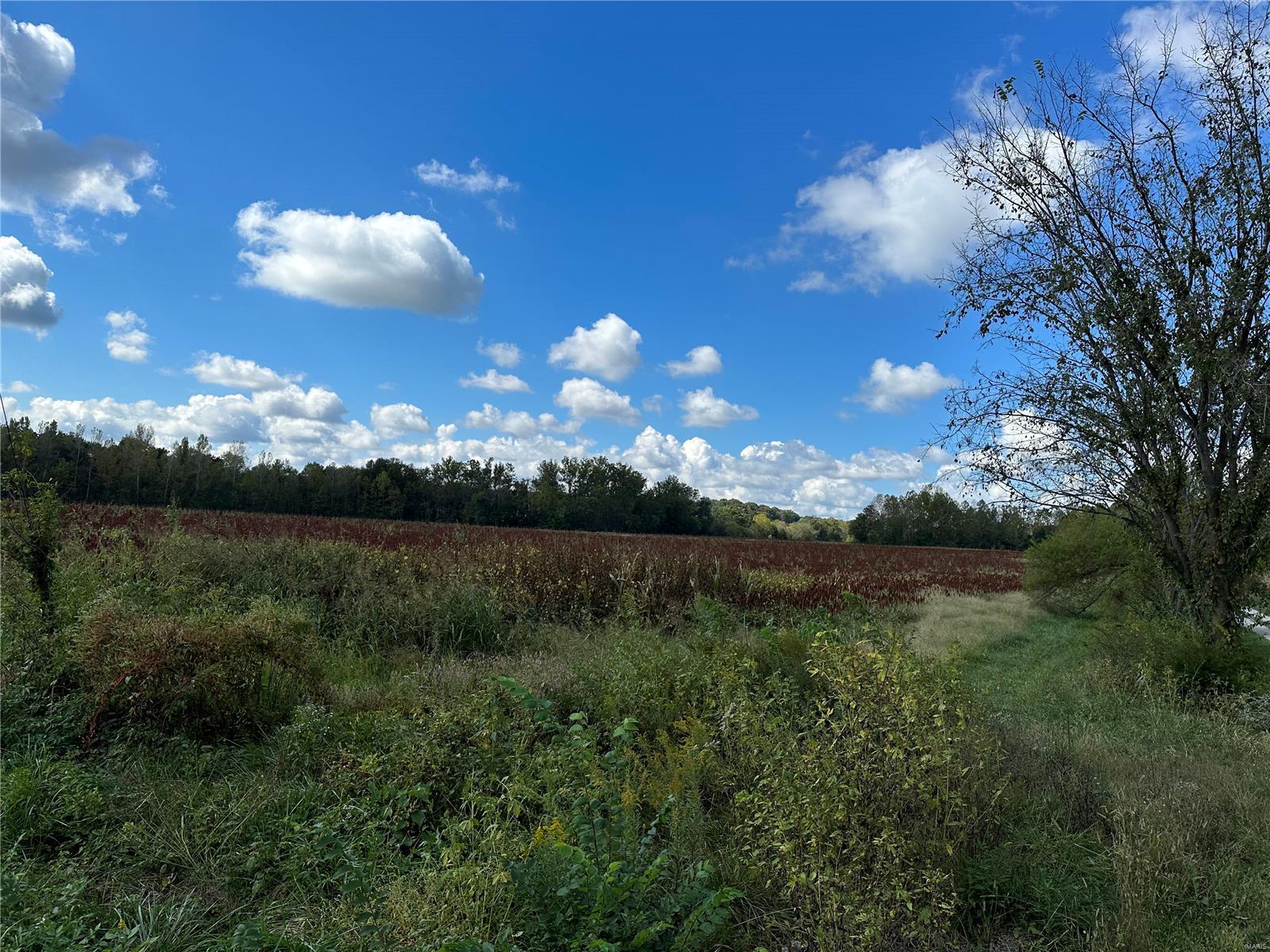 0 Bend School Road Union, MO 63084 - Photo 8 of 27