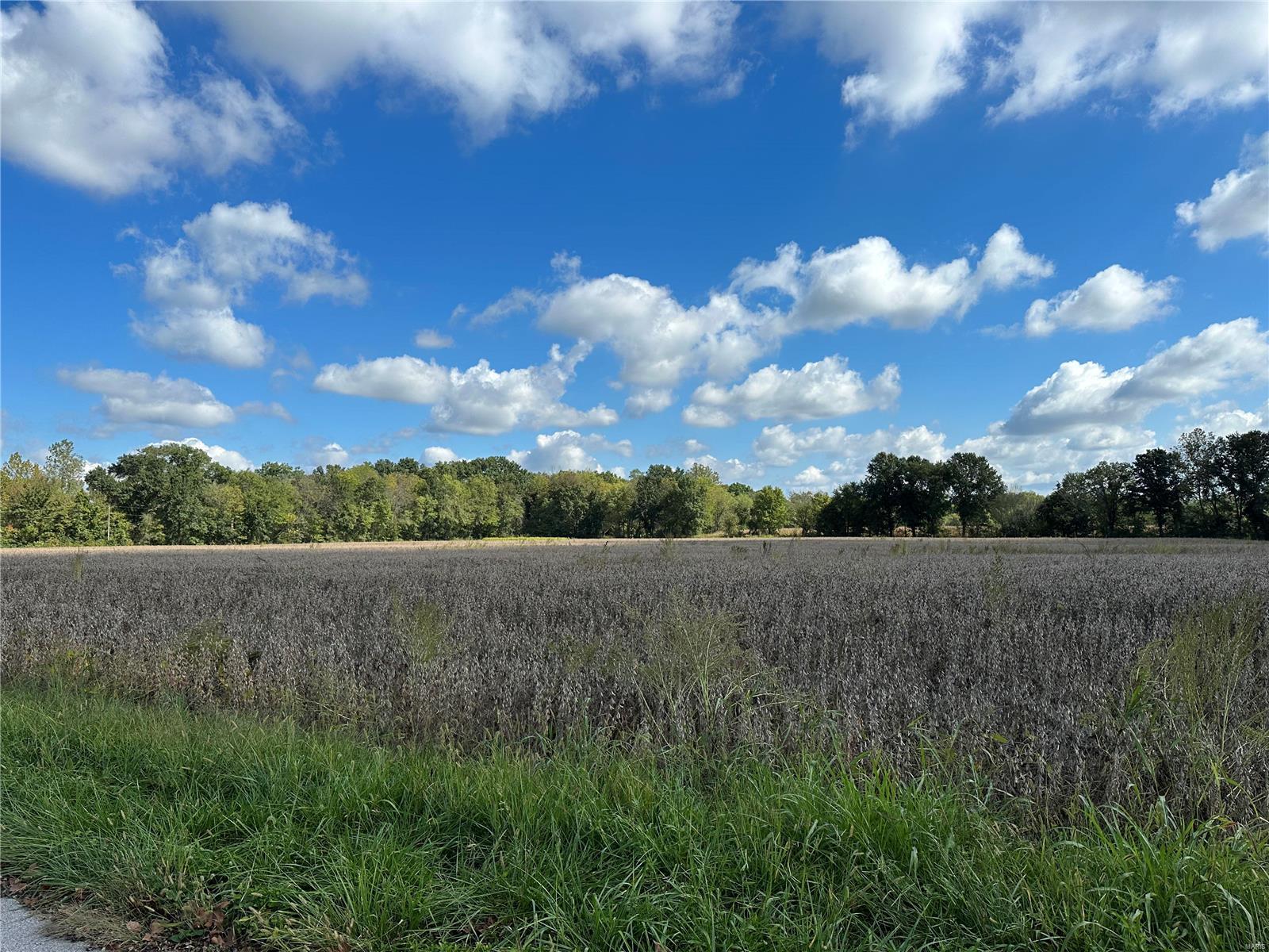 0 Bend School Road Union, MO 63084 - Photo 10 of 27