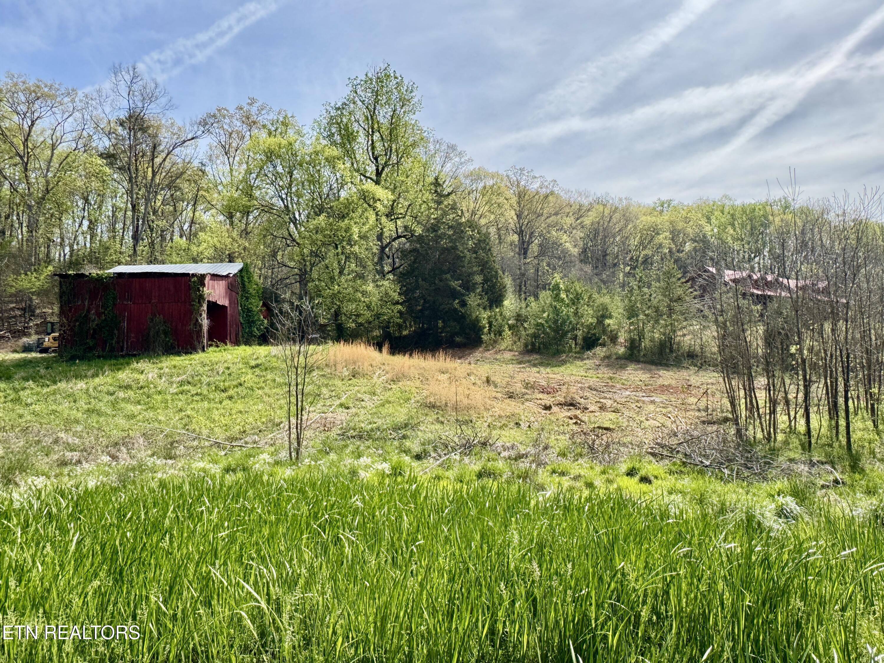 4508 Idumea Road Corryton, TN 37721 - Photo 11 of 24 11