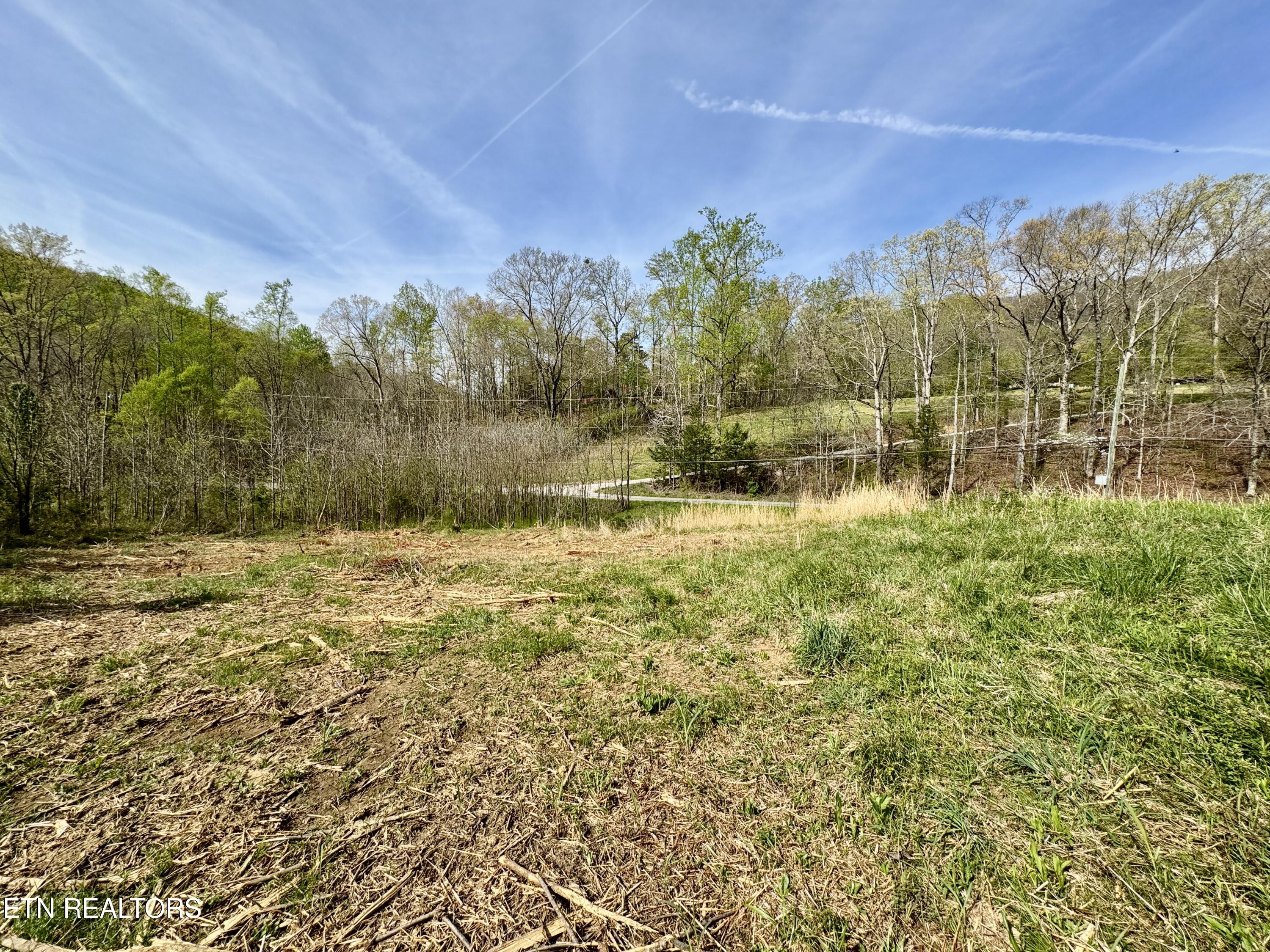 4508 Idumea Road Corryton, TN 37721 - Photo 12 of 24 12