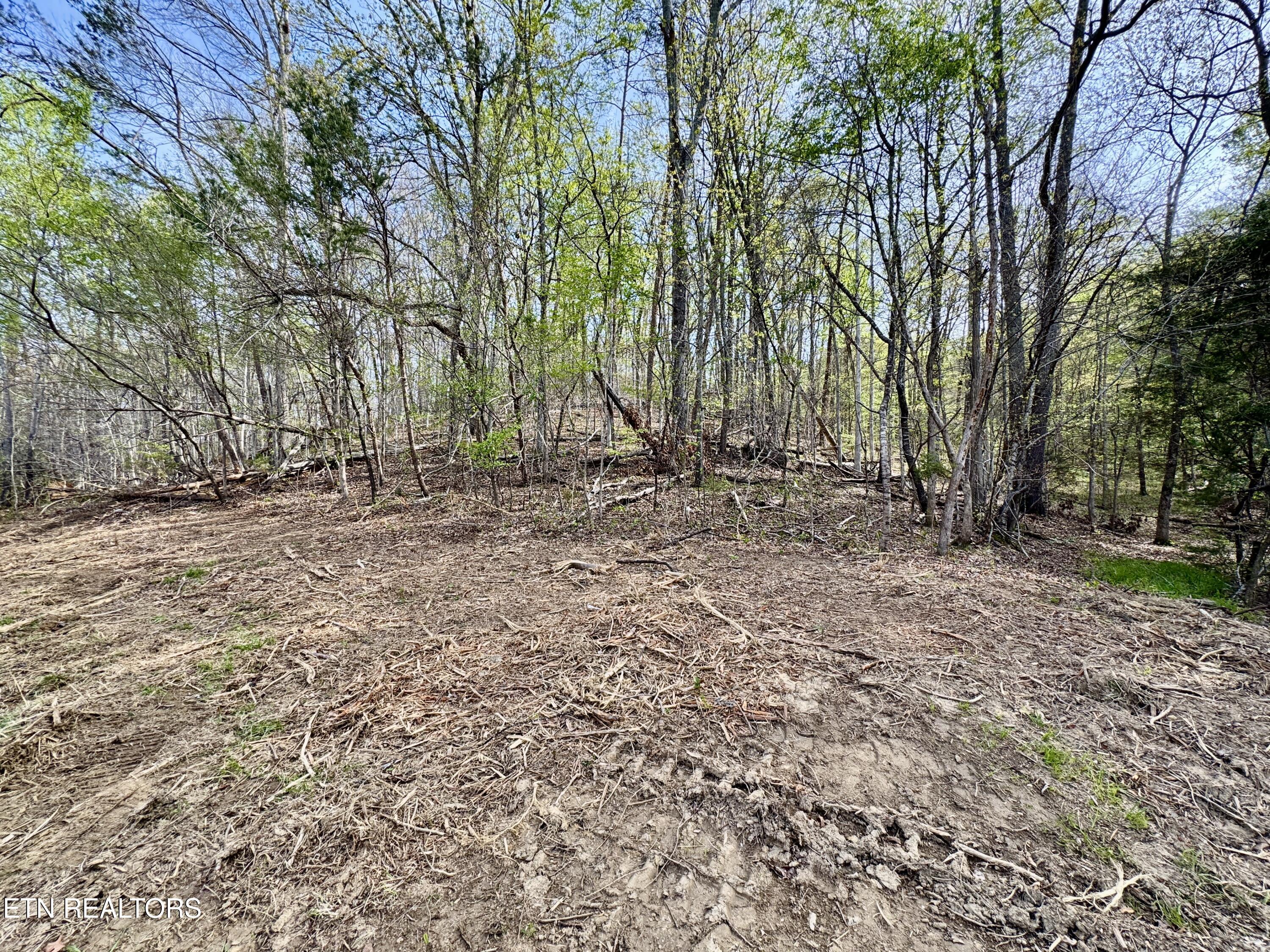 4508 Idumea Road Corryton, TN 37721 - Photo 13 of 24 13