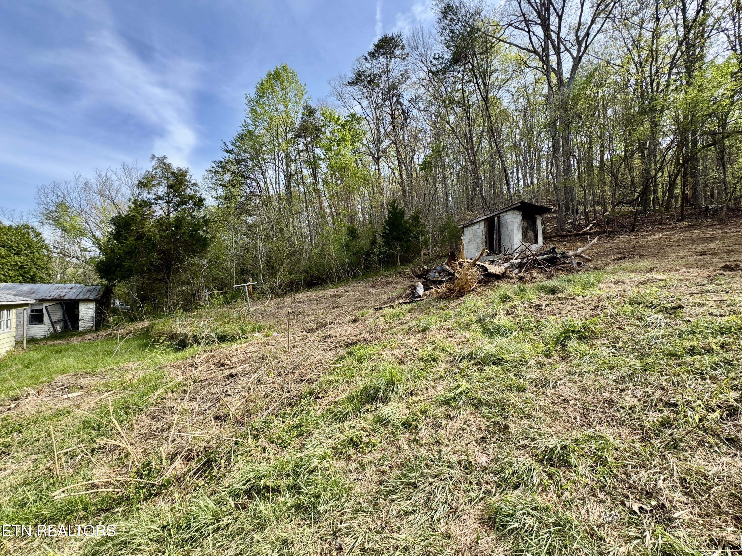 4508 Idumea Road Corryton, TN 37721 - Photo 6 of 24 6