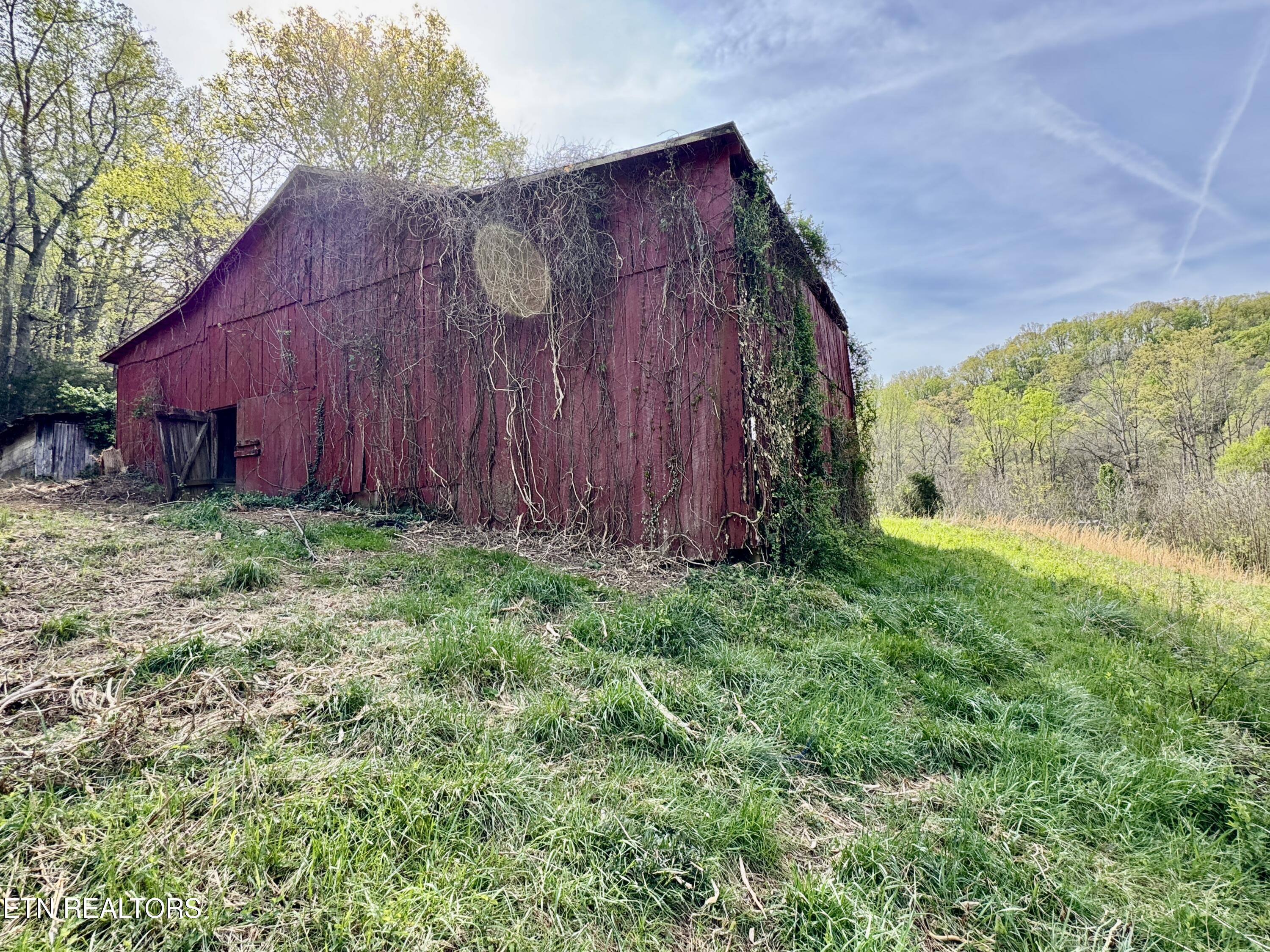 4508 Idumea Road Corryton, TN 37721 - Photo 7 of 24 7