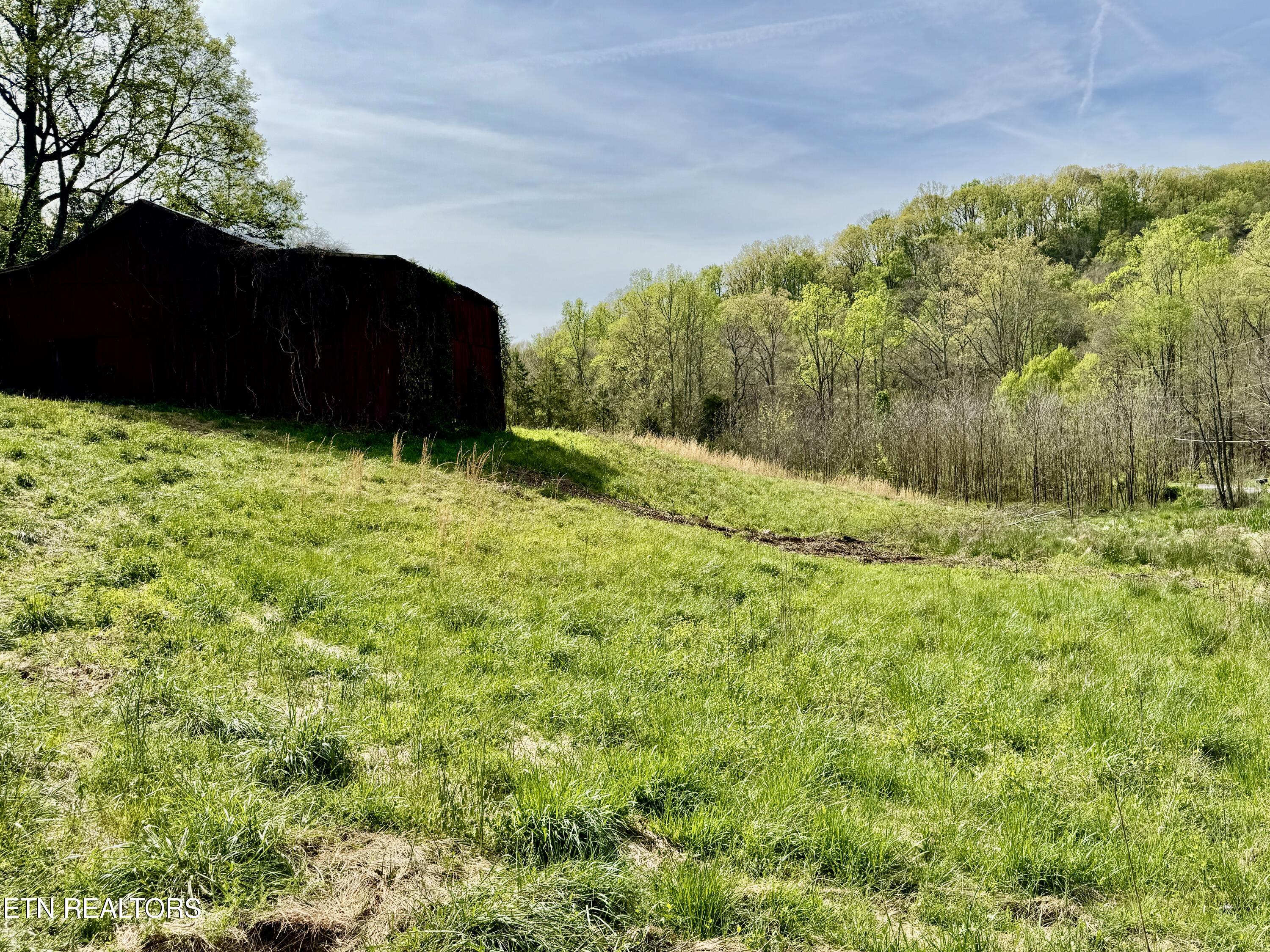 4508 Idumea Road Corryton, TN 37721 - Photo 9 of 24 9