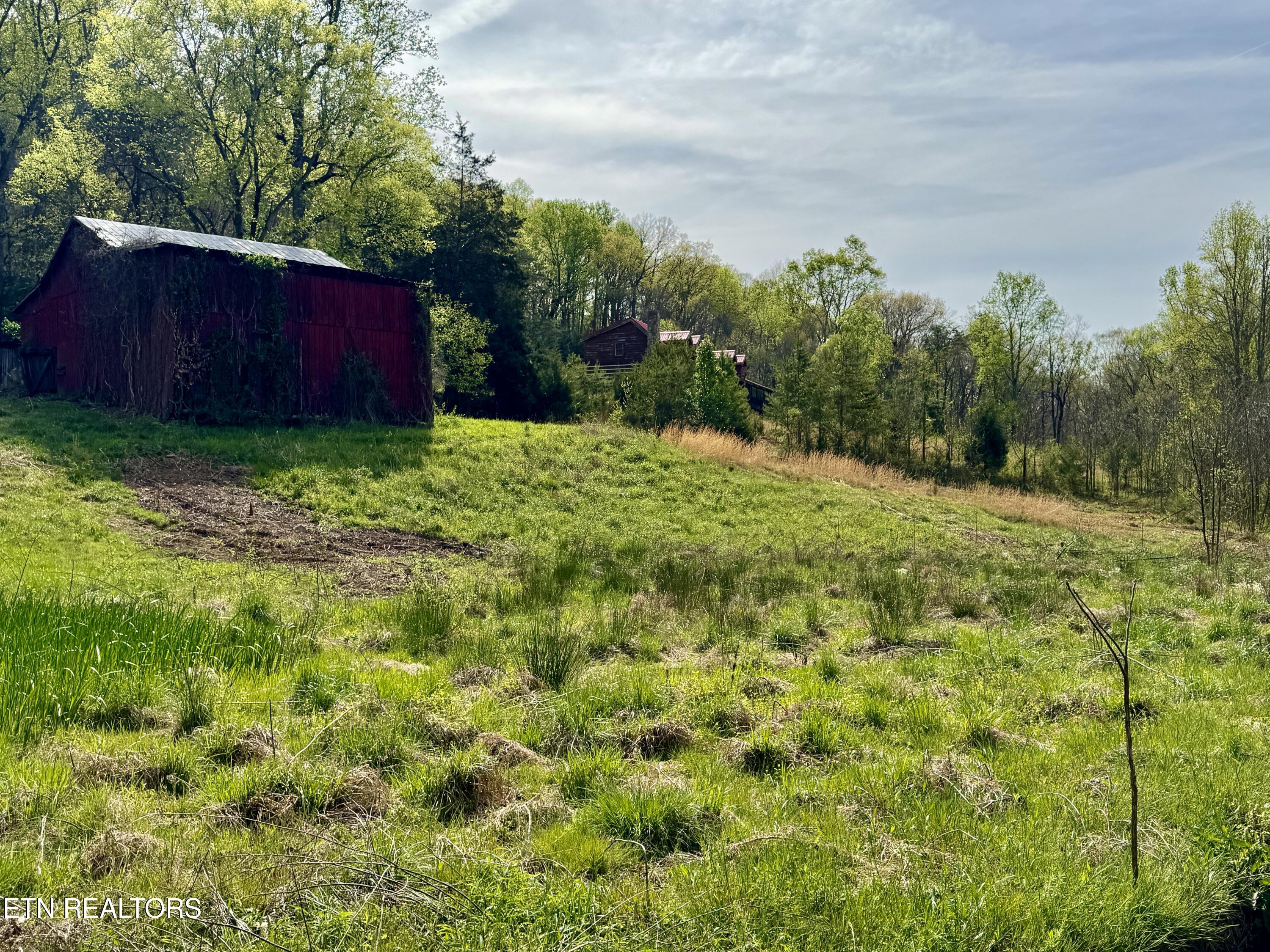 4508 Idumea Road Corryton, TN 37721 - Photo 10 of 24 10