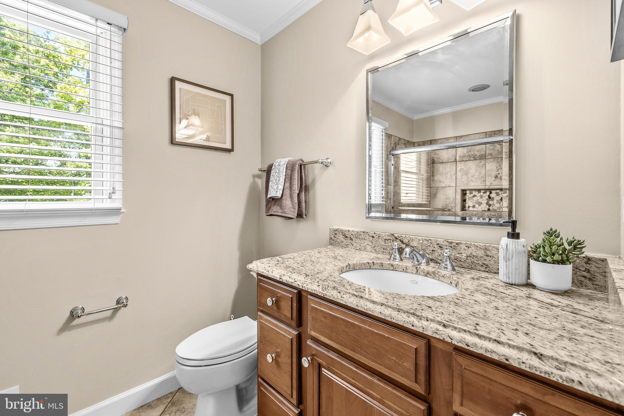 7412 Brian Run Court Springfield, VA 22153 - Photo 30 of 61