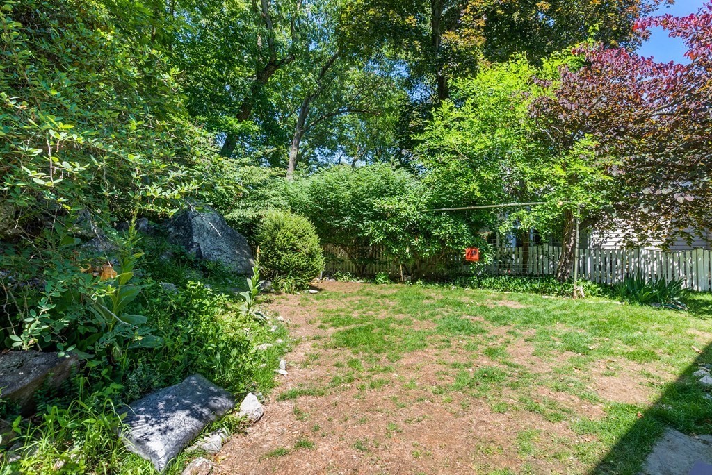 60 Valley Road Milton, MA 02186 - Photo 24 of 28 a view of a big yard with plants and large trees
