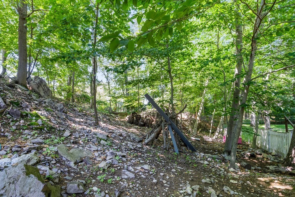 60 Valley Road Milton, MA 02186 - Photo 26 of 28 a big yard with lots of green space and trees